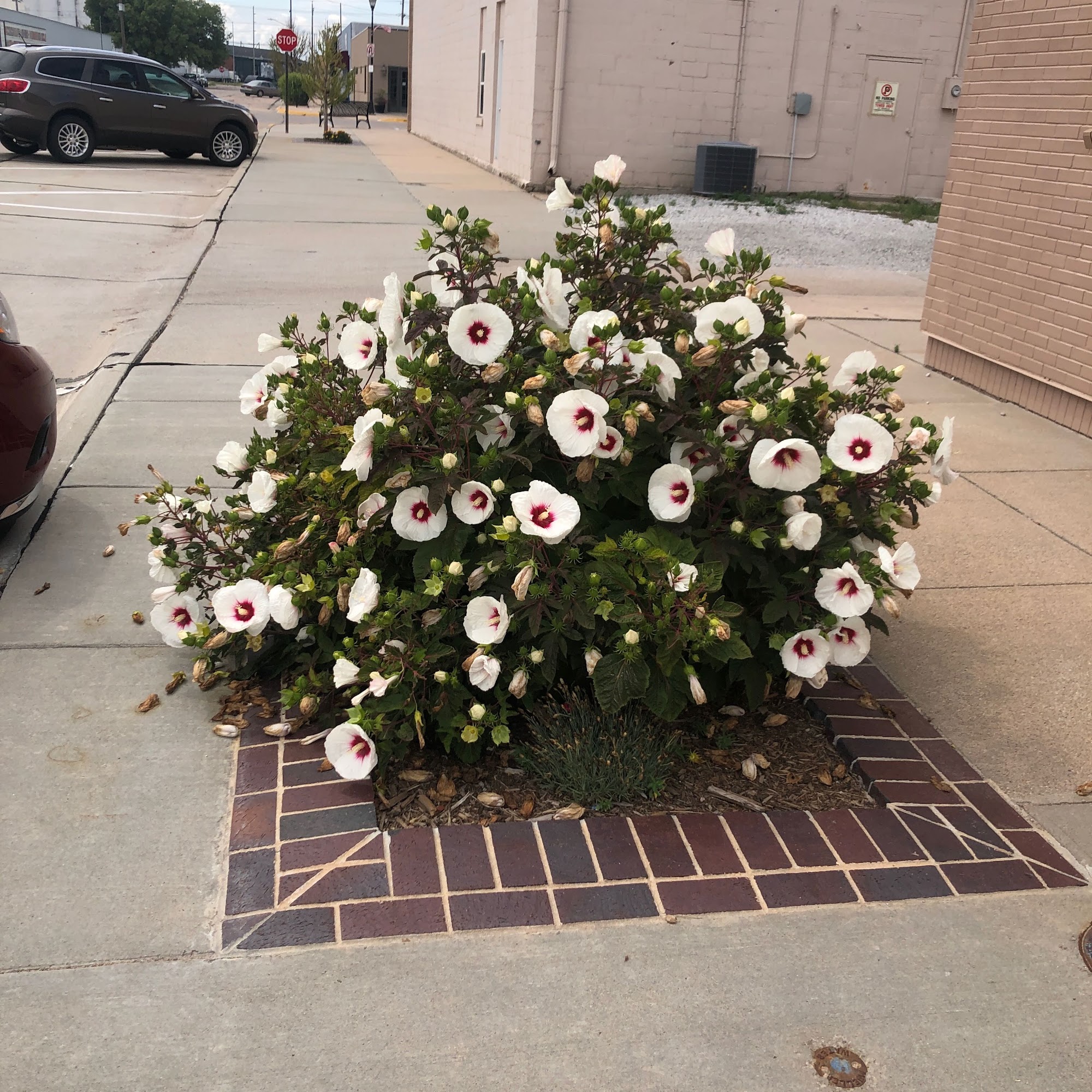 Cozad Veterinary Clinic Cozad