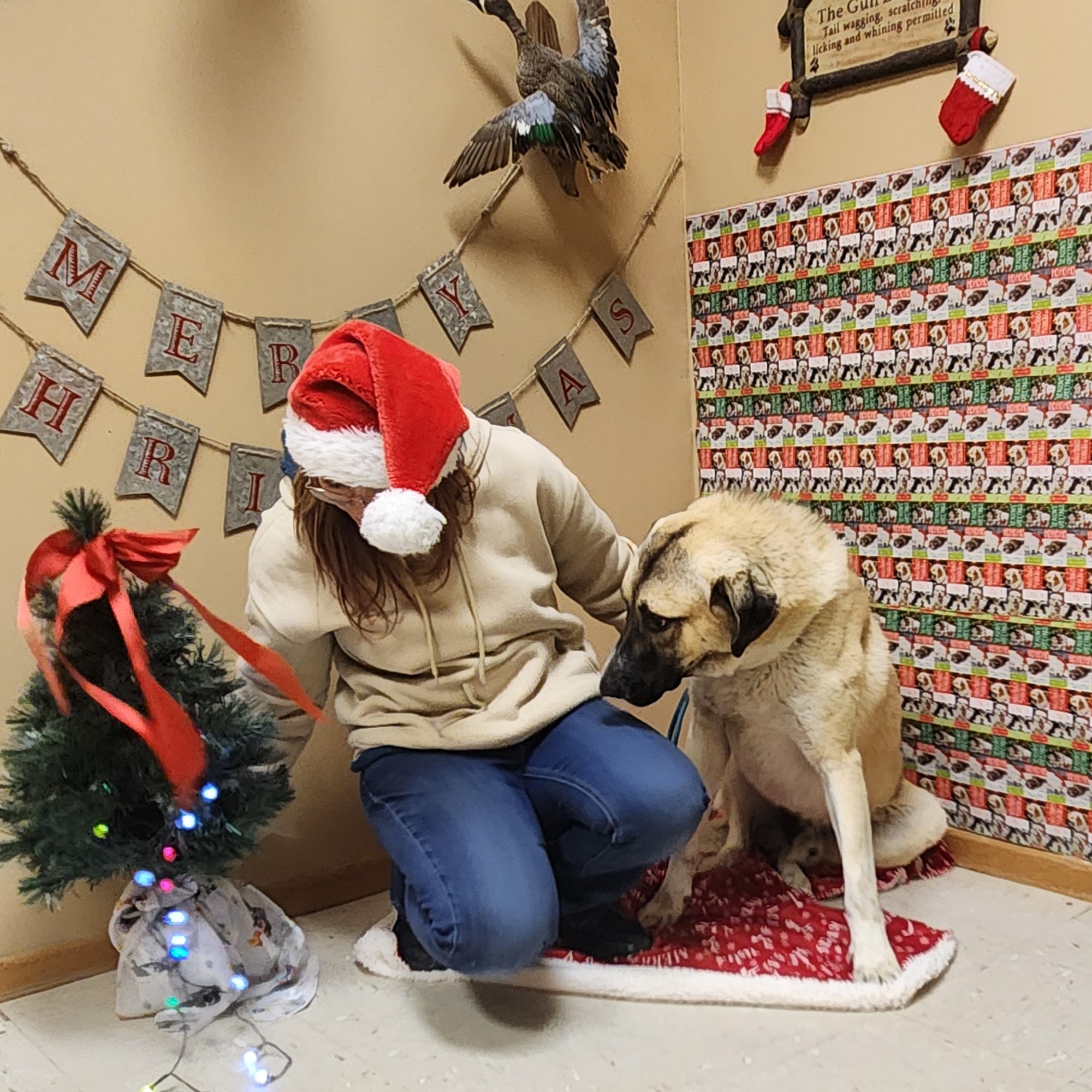 Bar Ten Kennel Inc Cozad