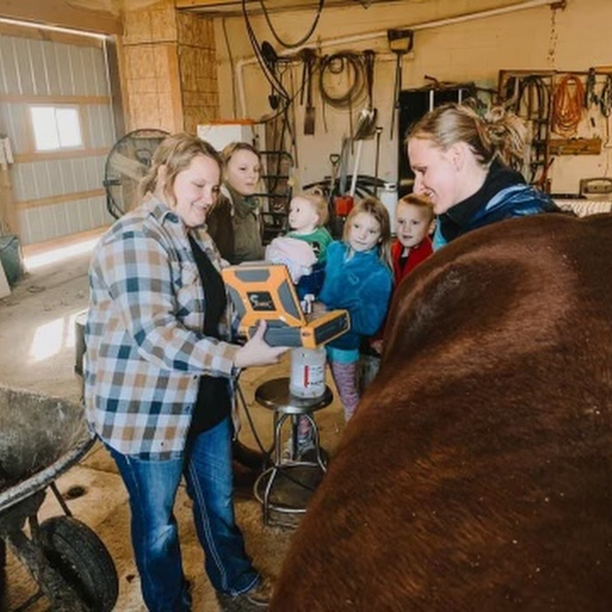 Crete Veterinary Clinic Crete