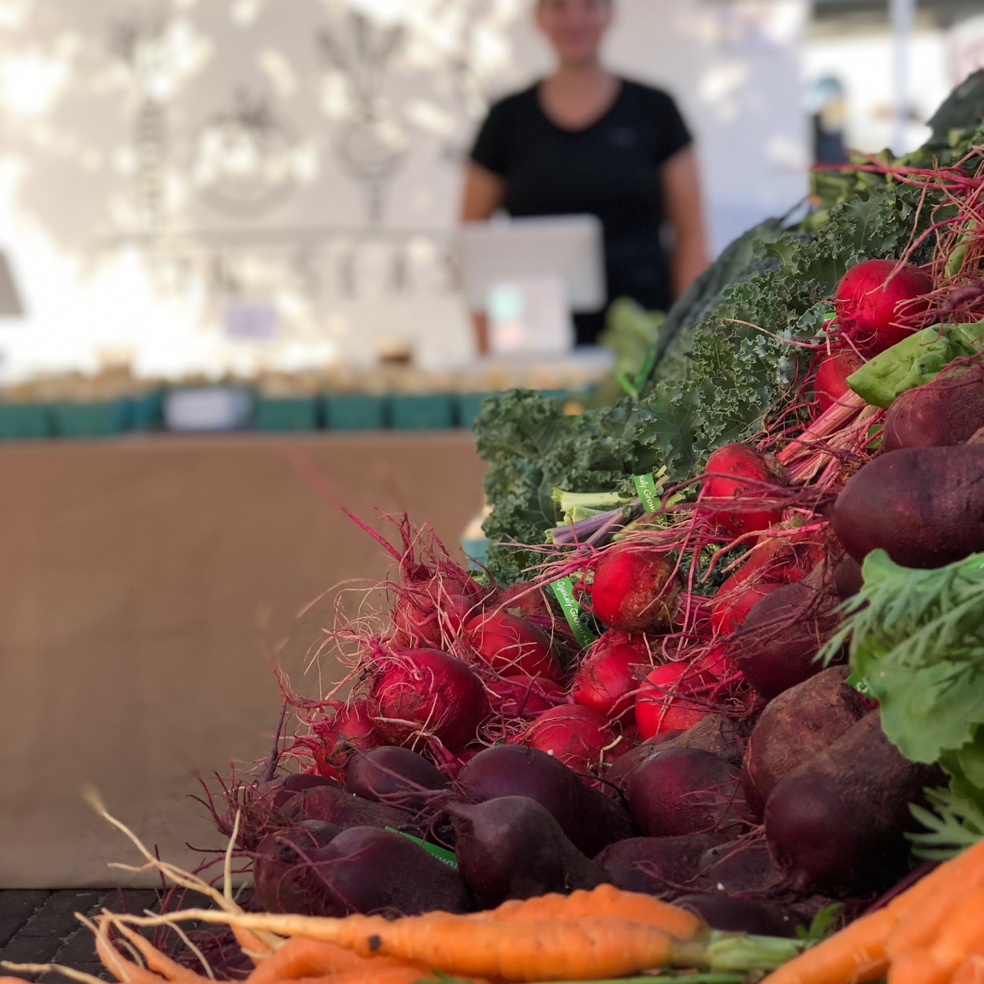 In Season LLC Douglas