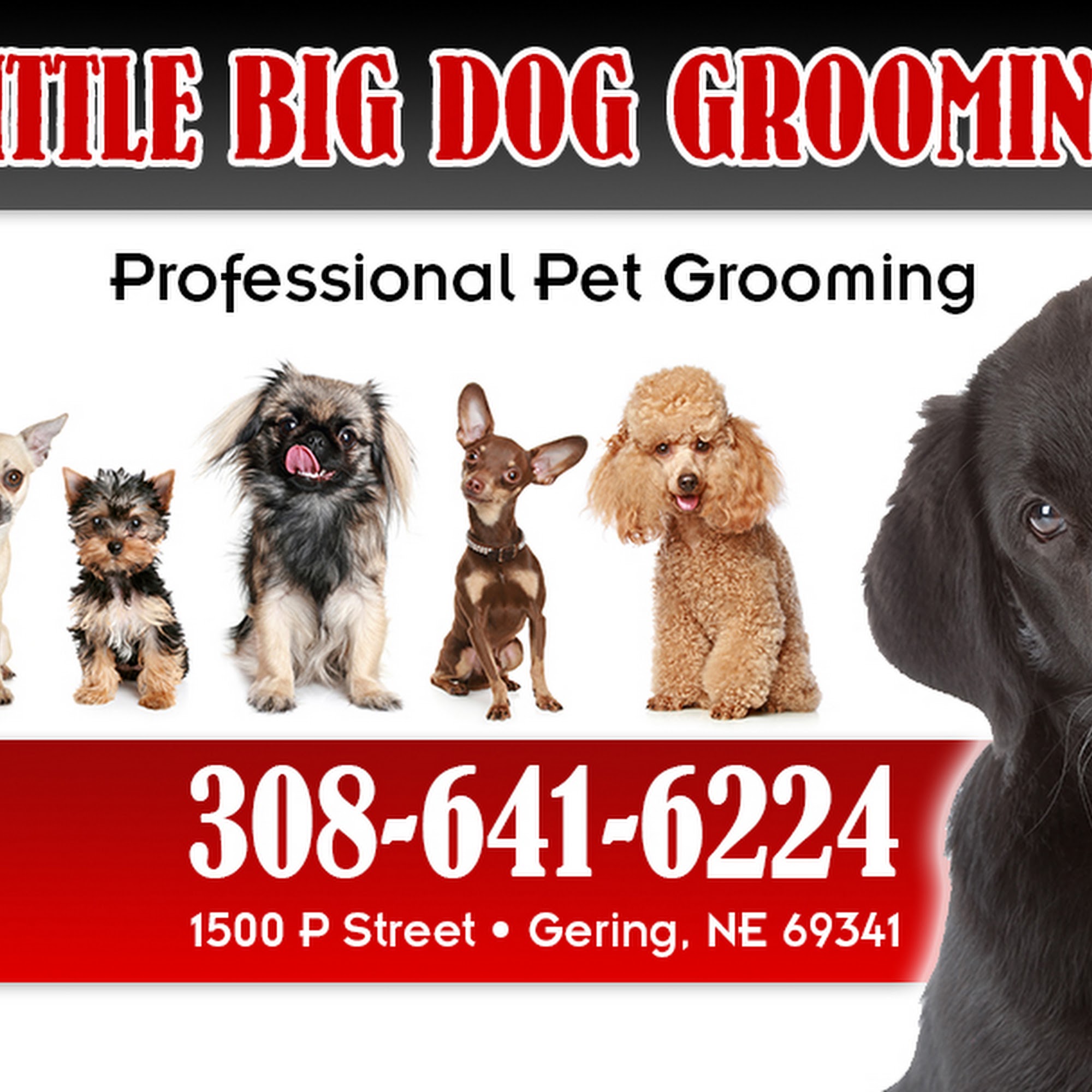 Little Big Dog Grooming Gering