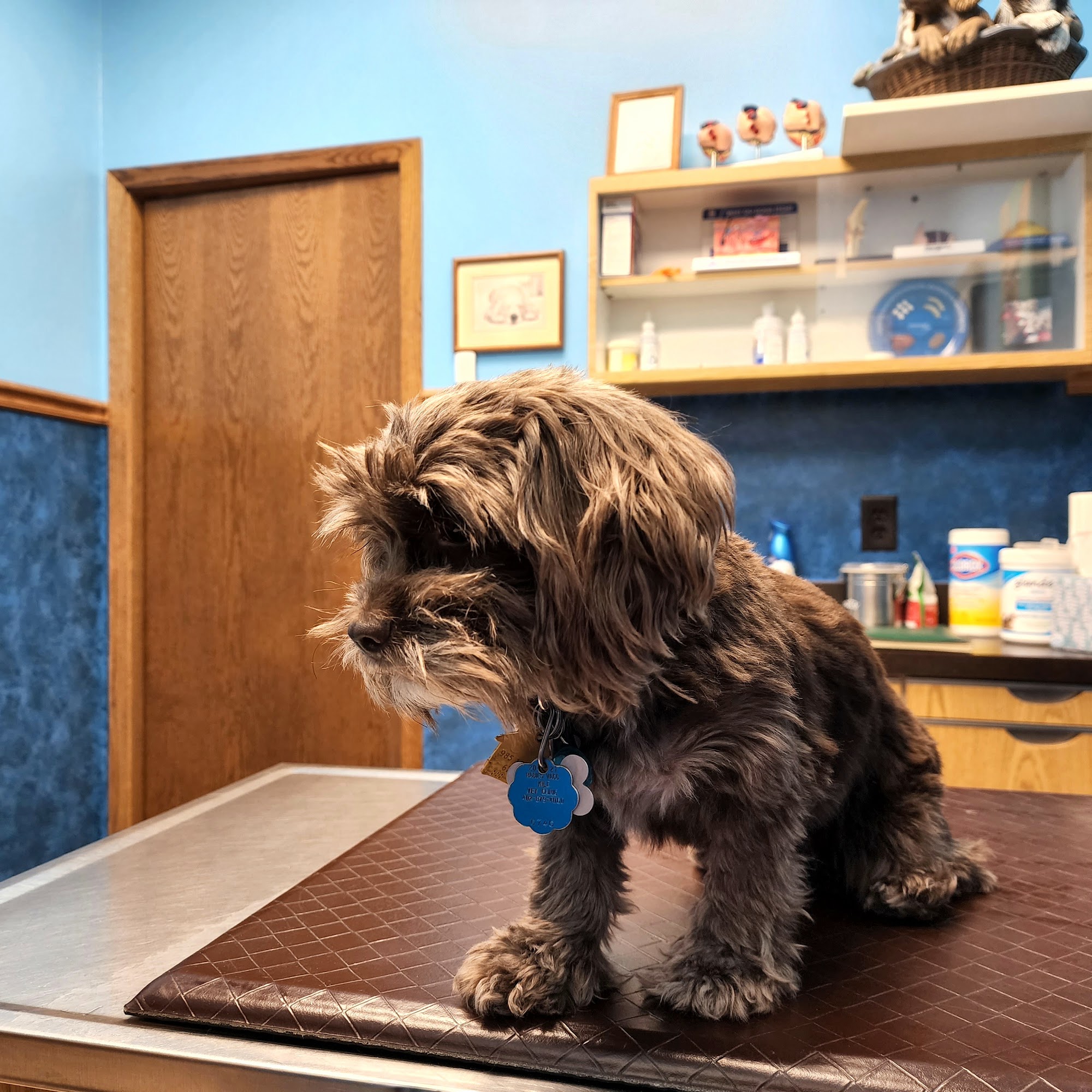 South Locust Veterinary Clinic Grand Island