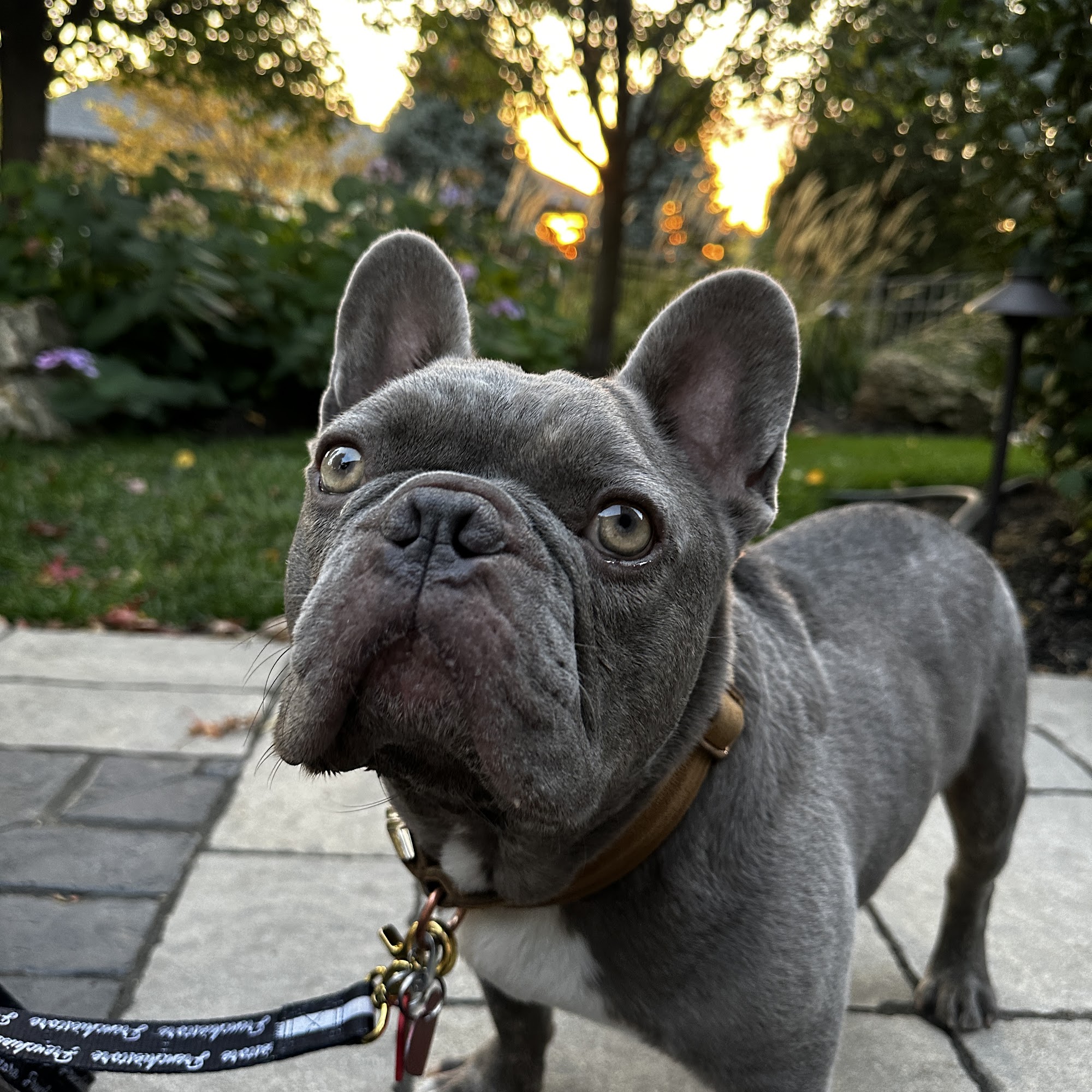 Gretna Animal Clinic Gretna