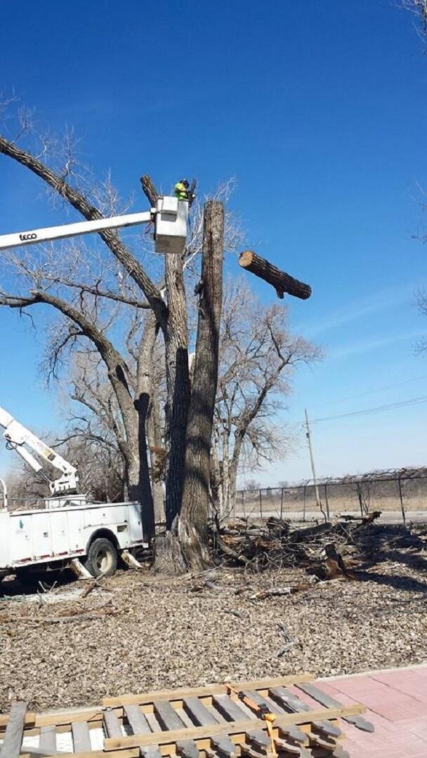 Photo credit: nextdoor