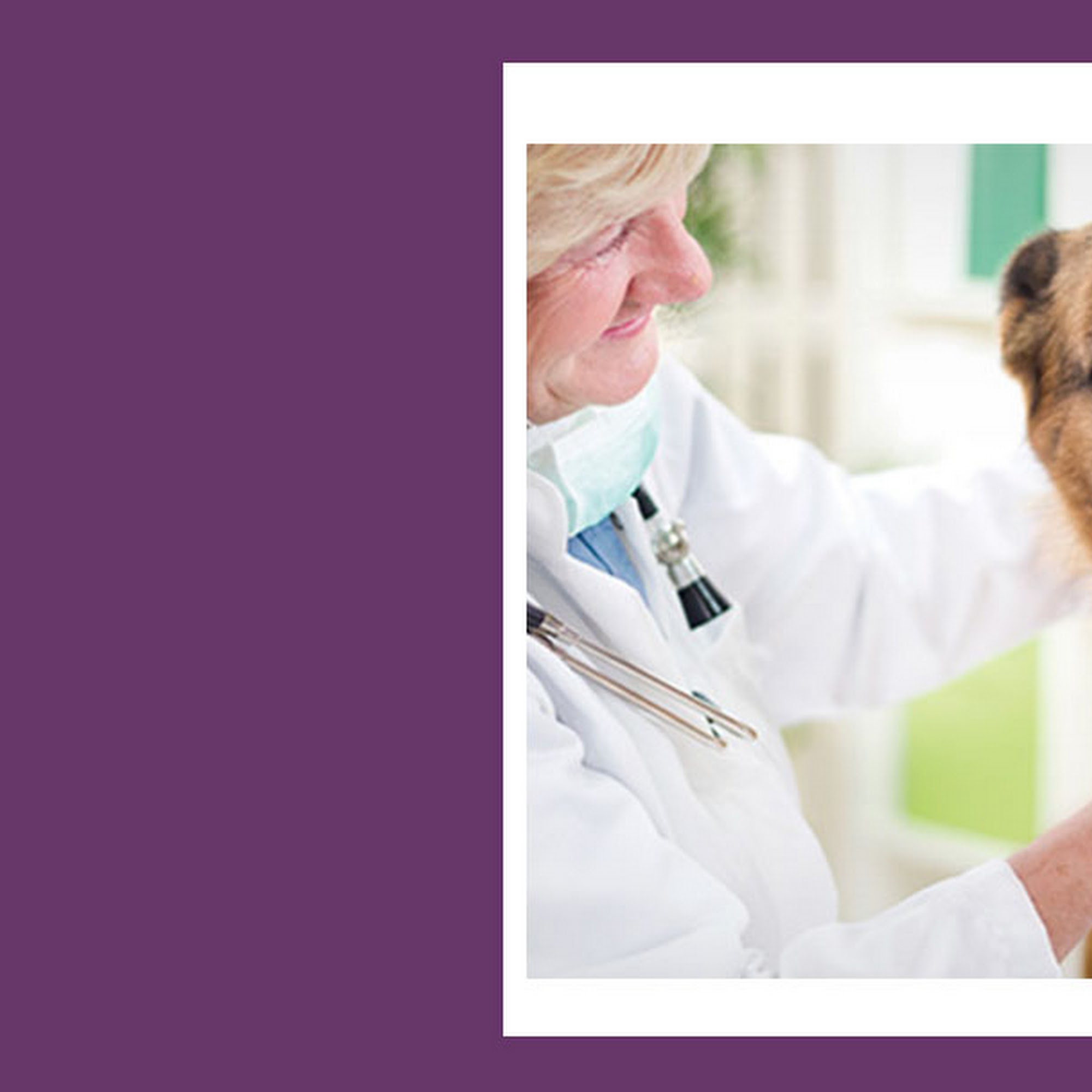 TLC Vet Care Hastings