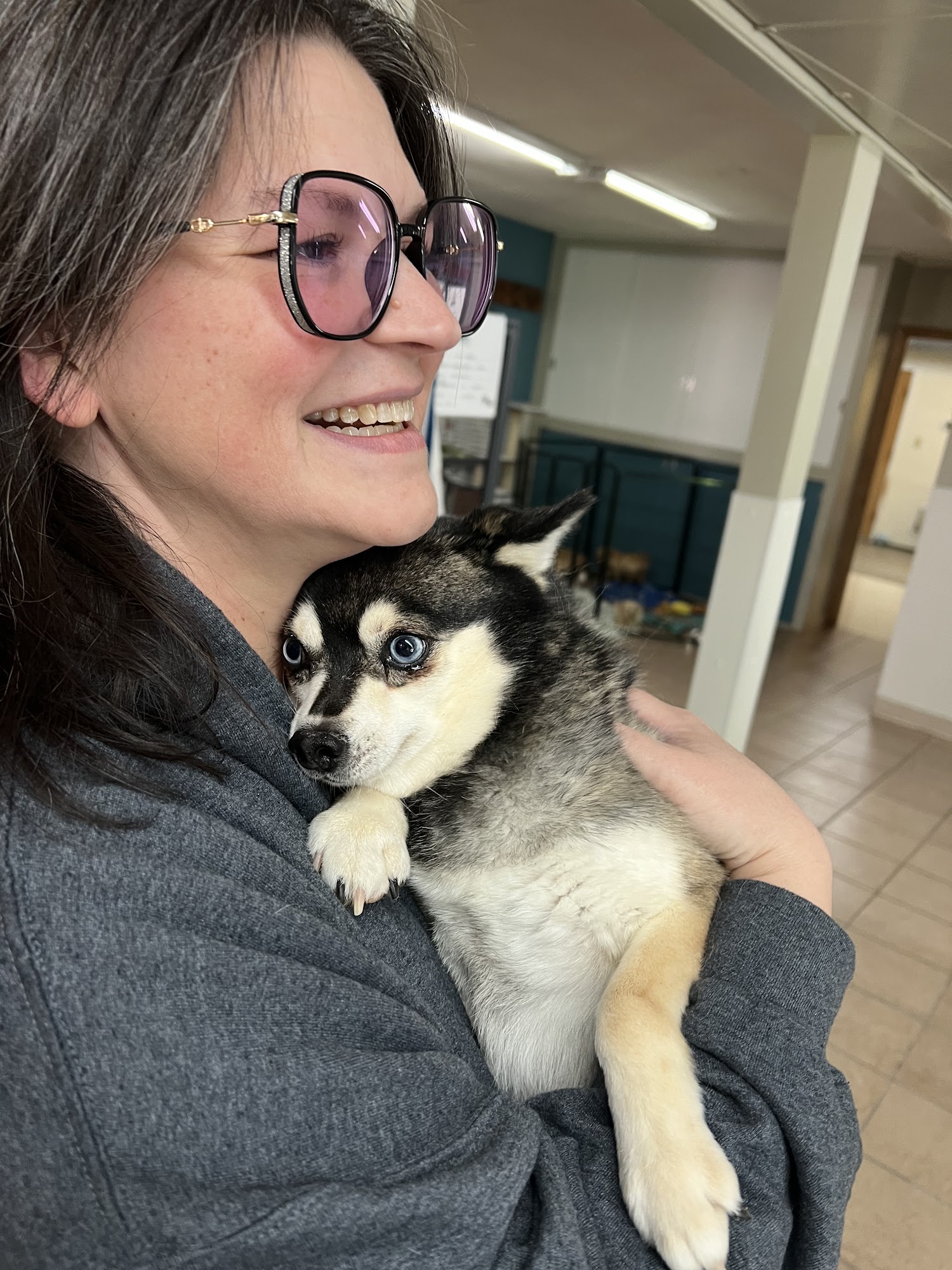 Start Over Rover Hastings