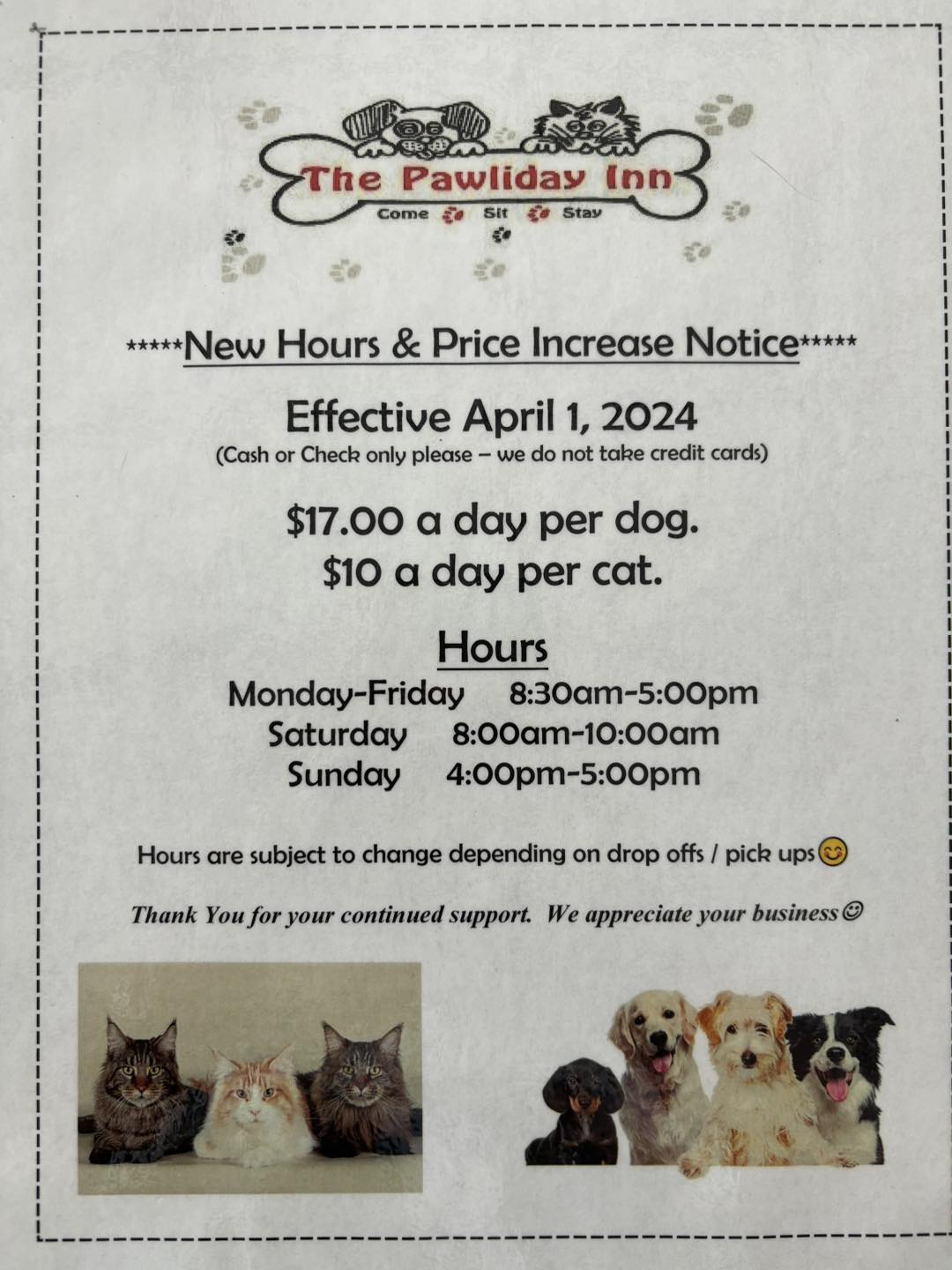 Pawliday Inn Kennels Hastings