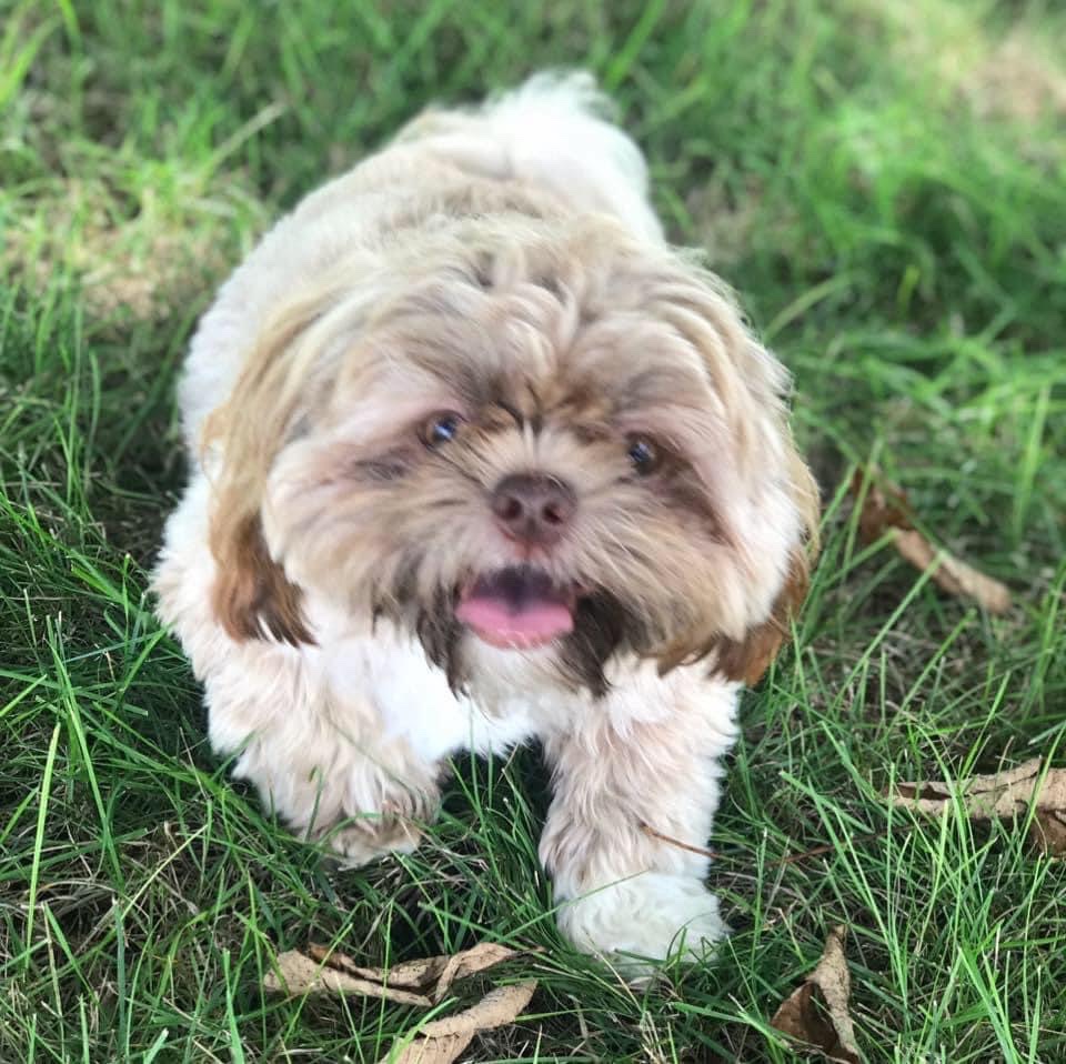 North Park Animal Hospital Holdrege