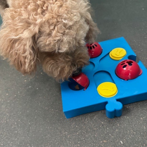 The Retreat at Cottonwood Veterinary Clinic Kearney