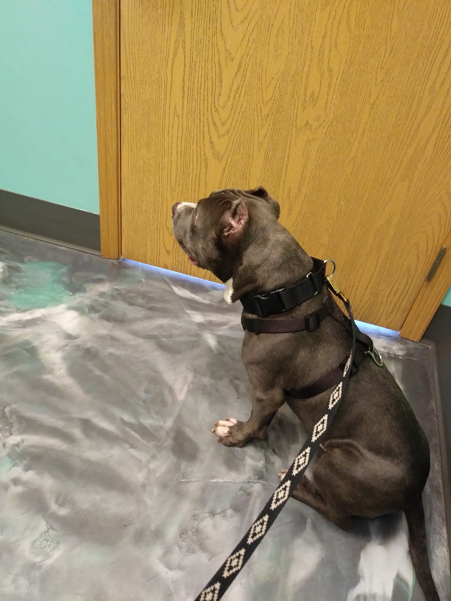 Val Verde Animal Hospital La Vista