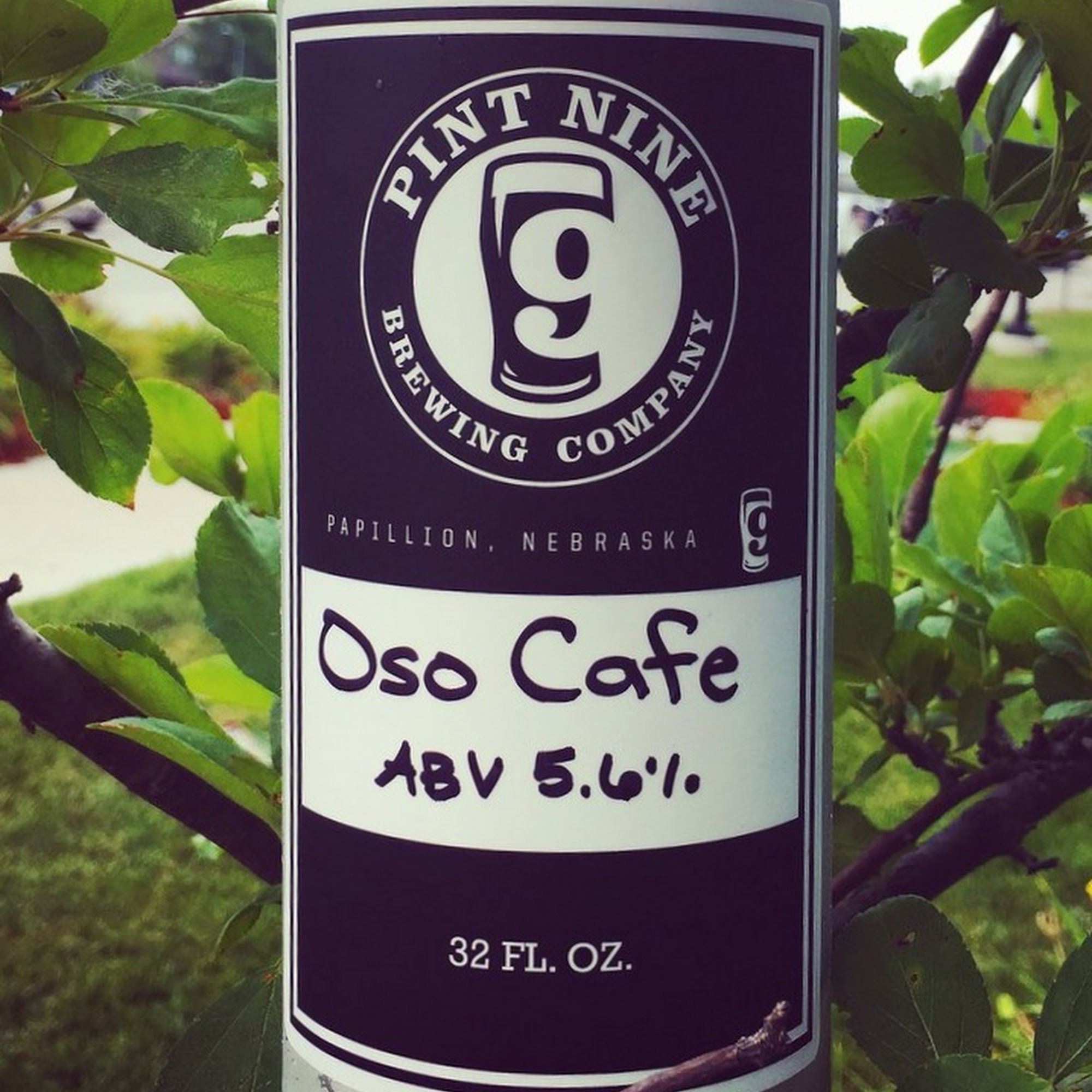 Pint Nine Brewing Company La Vista