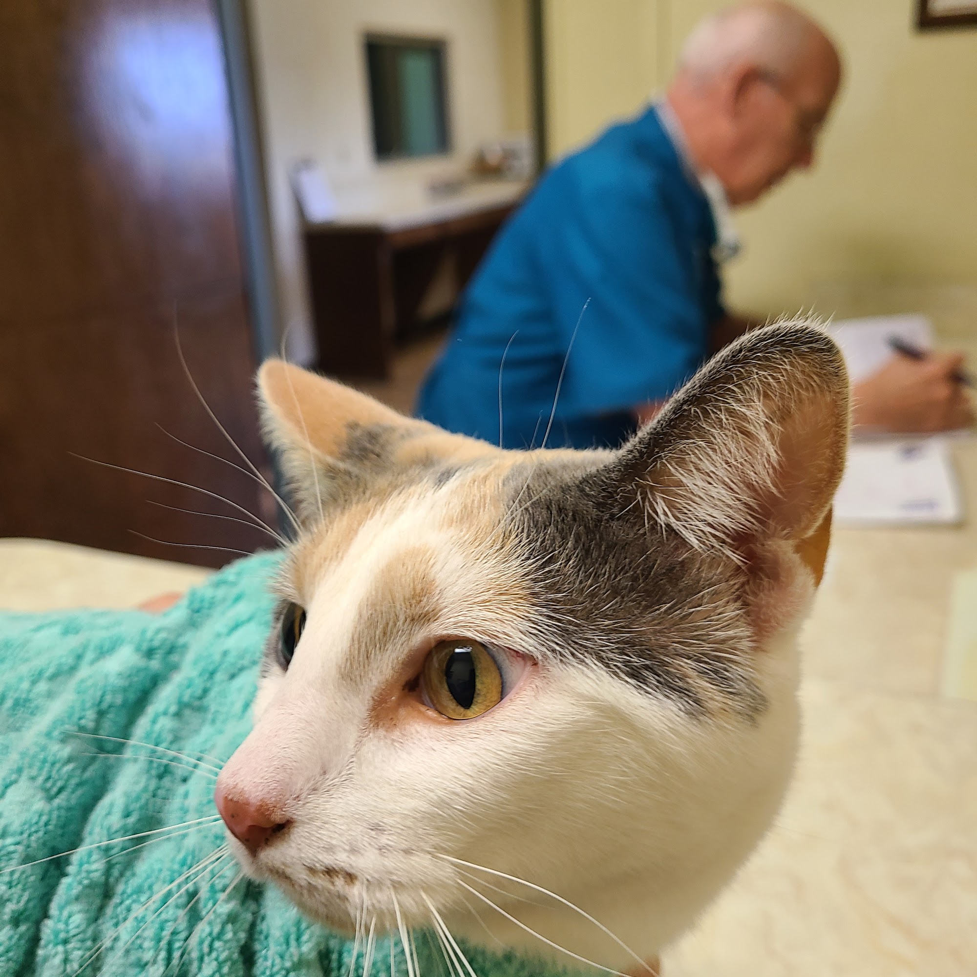 Plum Creek Veterinary Clinic Lexington