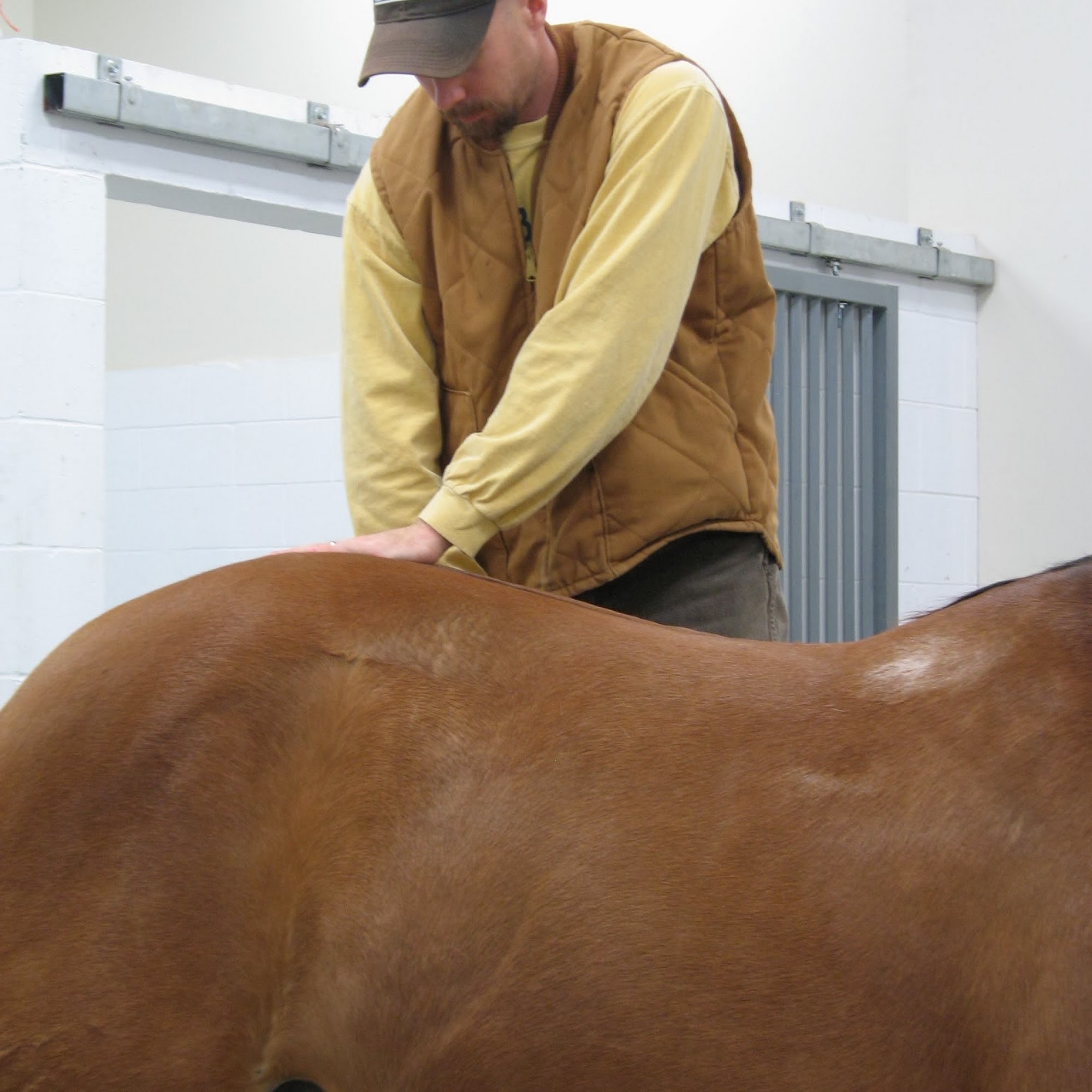 Hillcrest Animal Clinic Lincoln