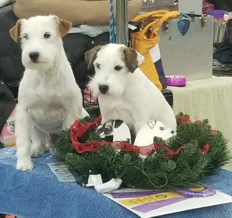 Jacobson Veterinary Clinic Lincoln