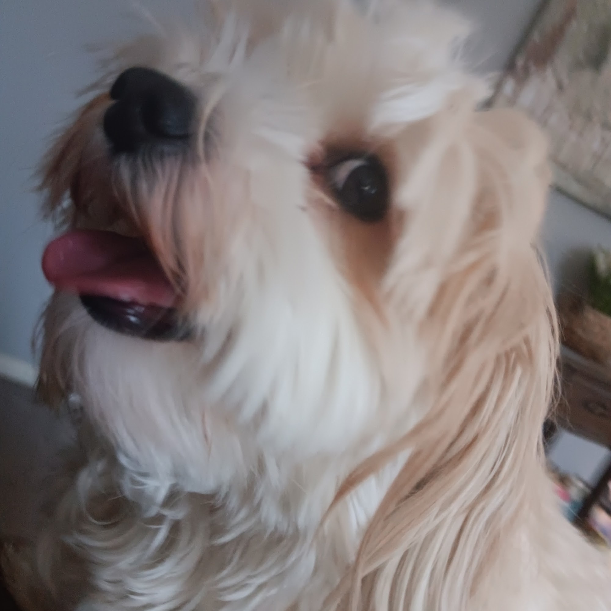 Animal Care Clinic Lincoln