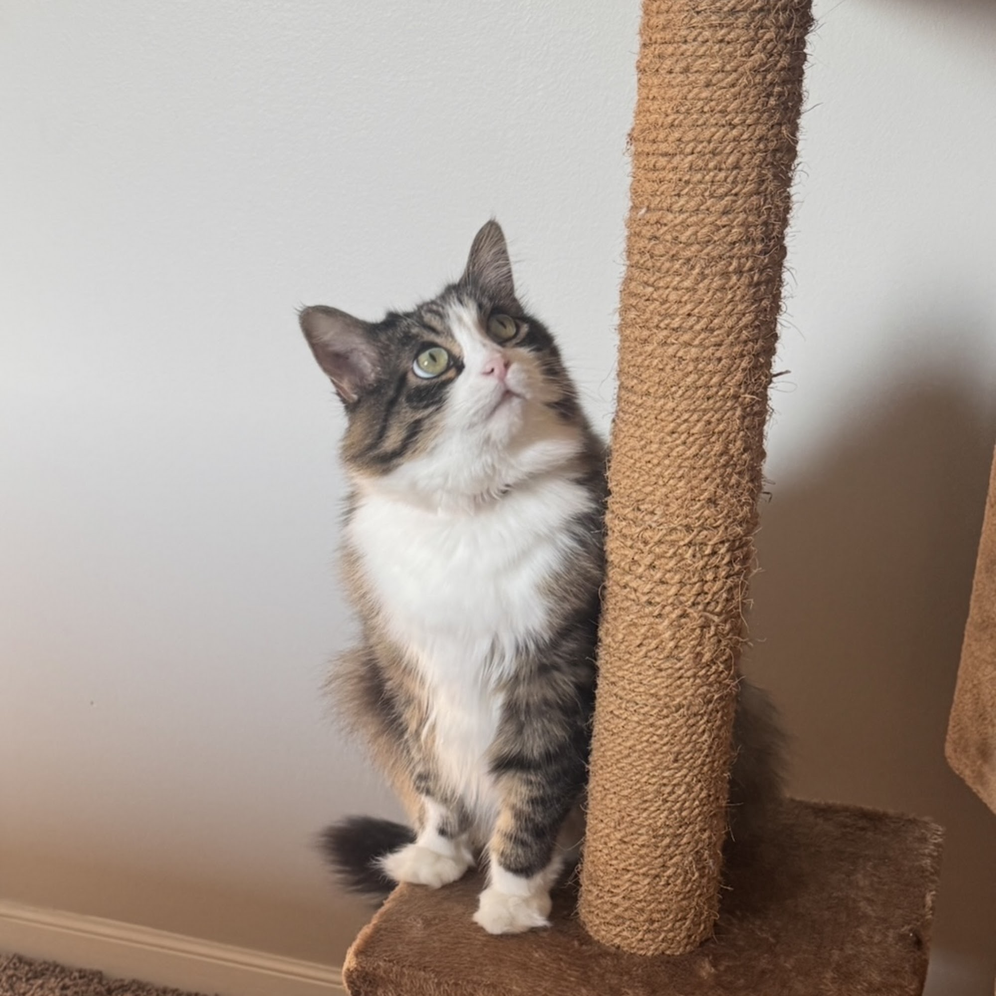 Vondra Veterinary Clinic Lincoln