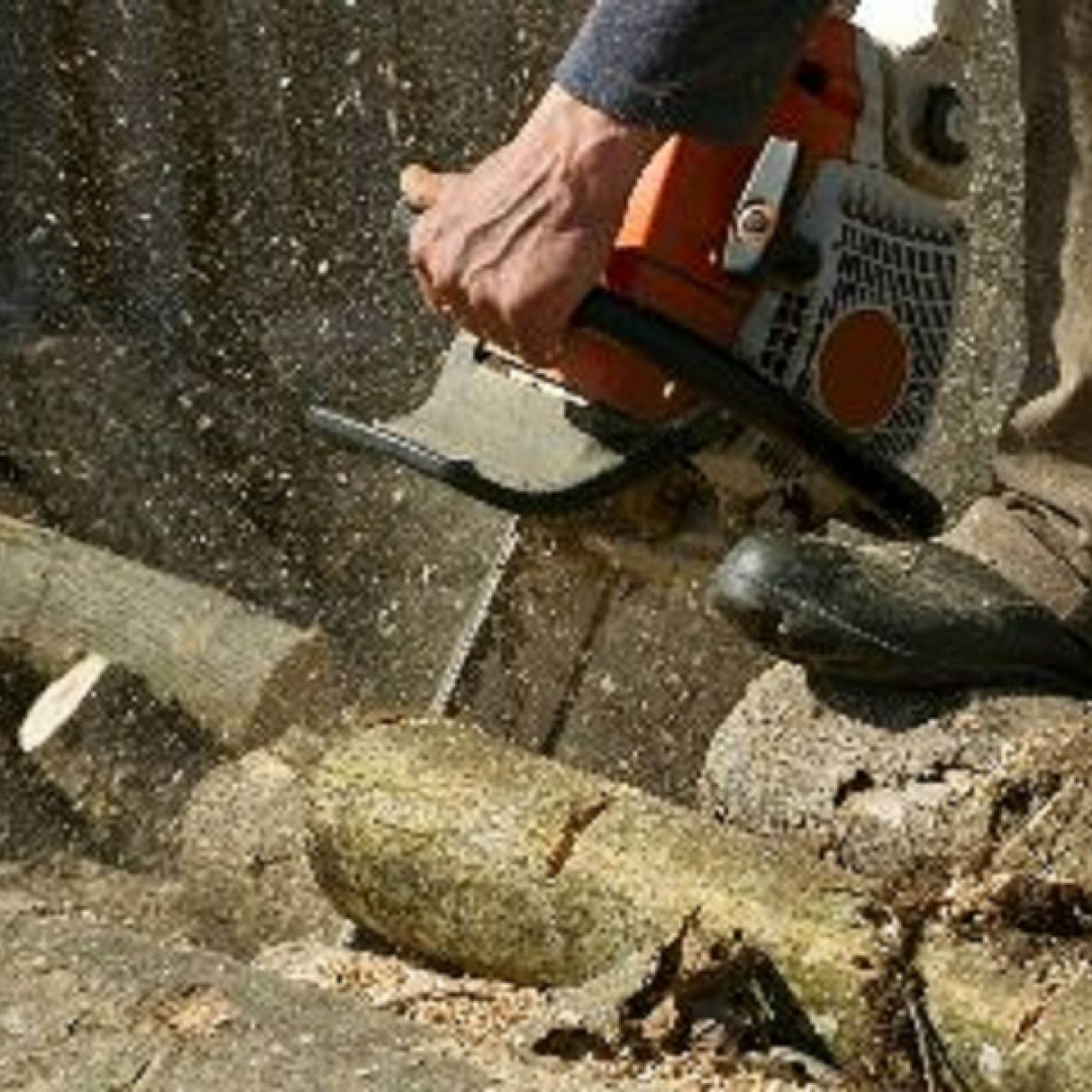 A+ Treeworks