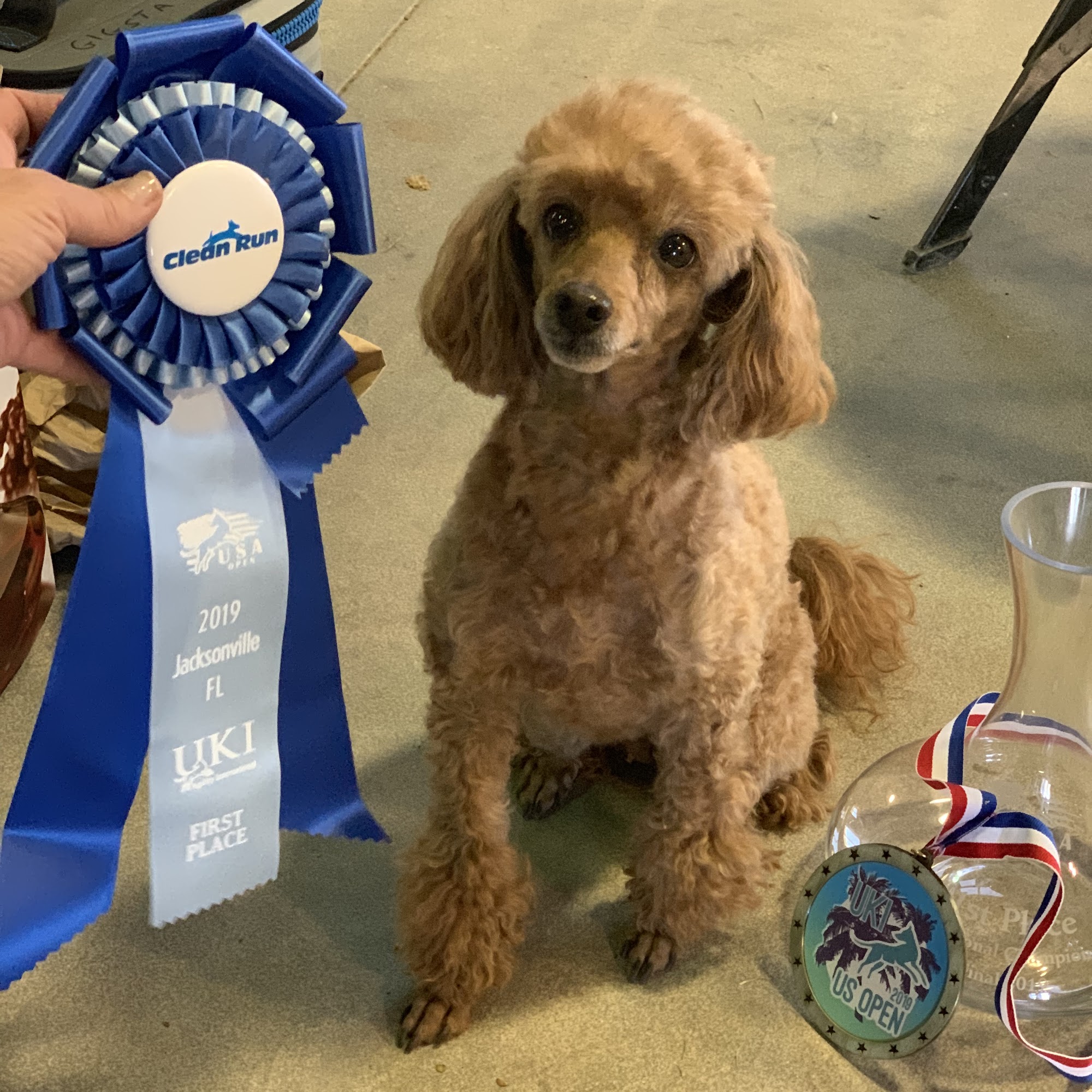 Arbor Valley Animal Clinic Nebraska City