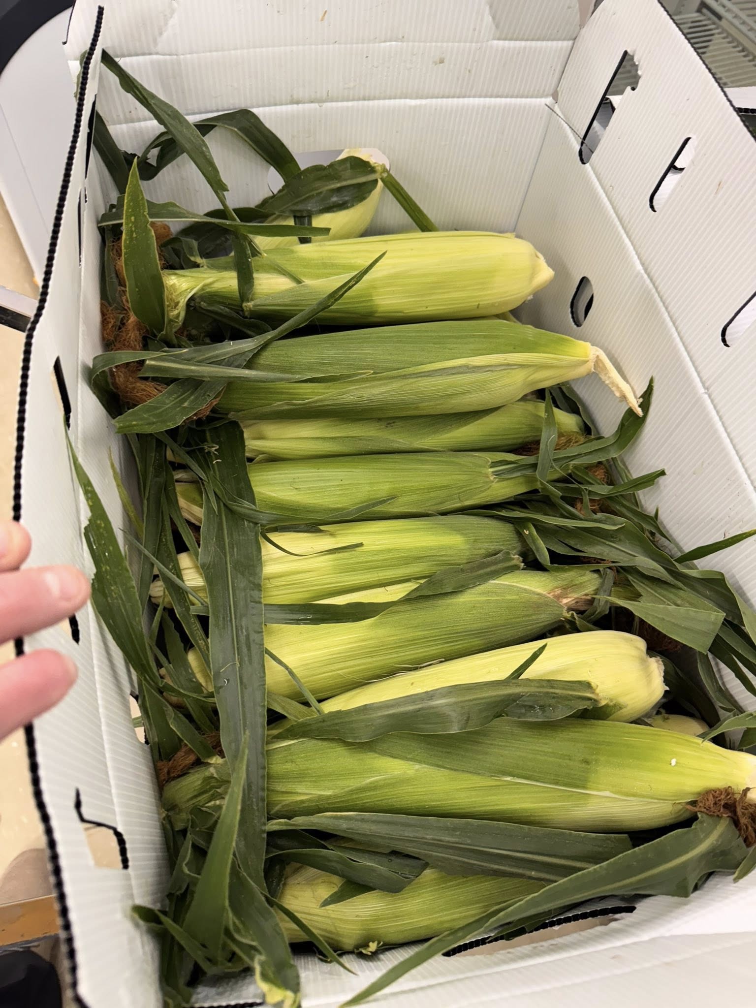 Broaster Chicken Dairy Mart