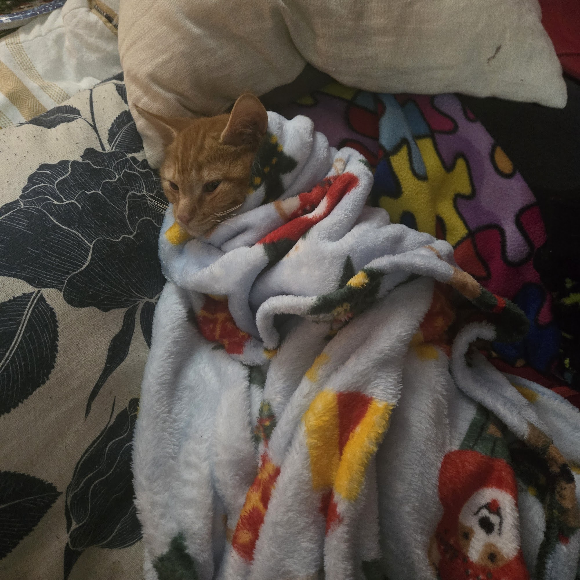 Tender Hearts Veterinary Center North Platte