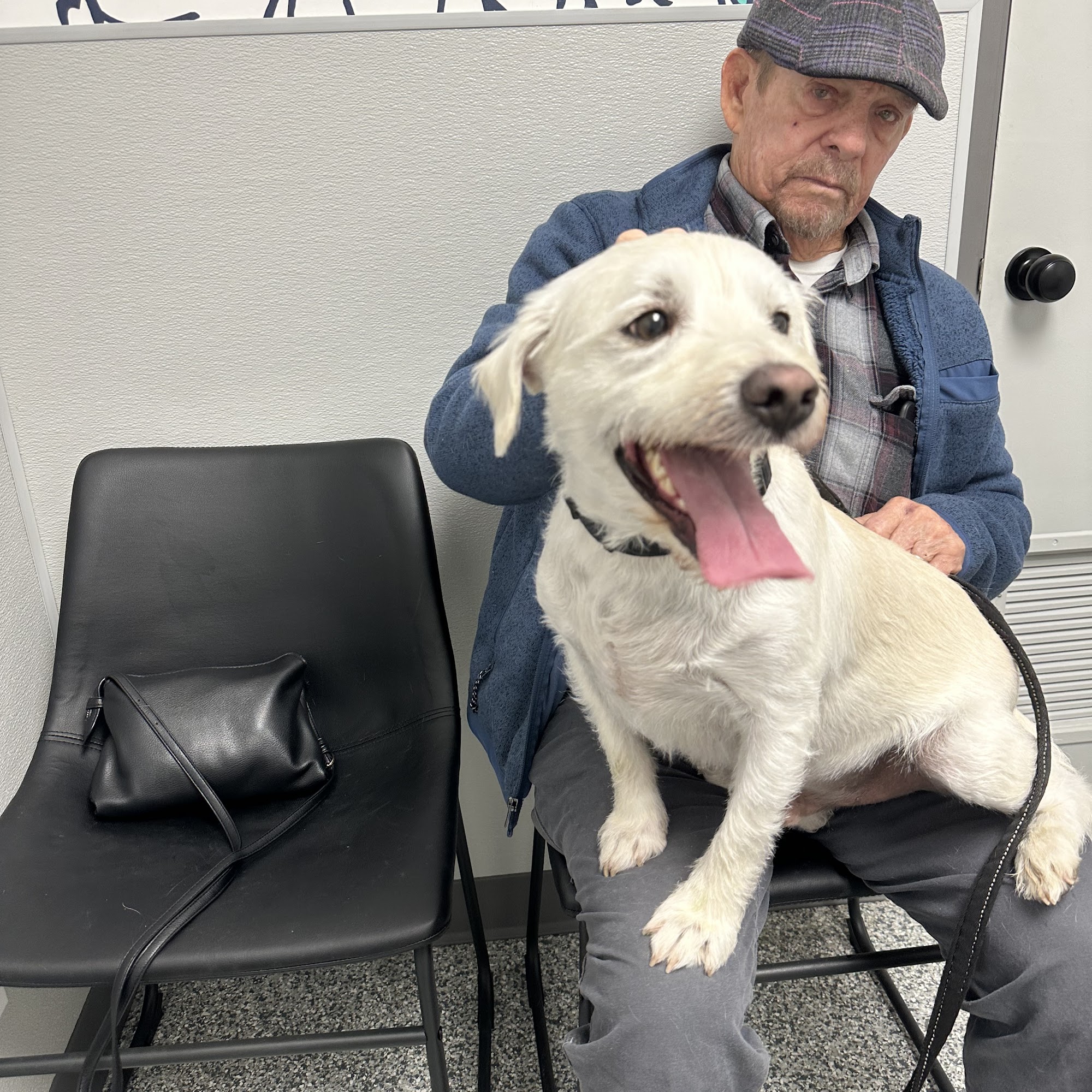 Florence Animal Hospital Omaha