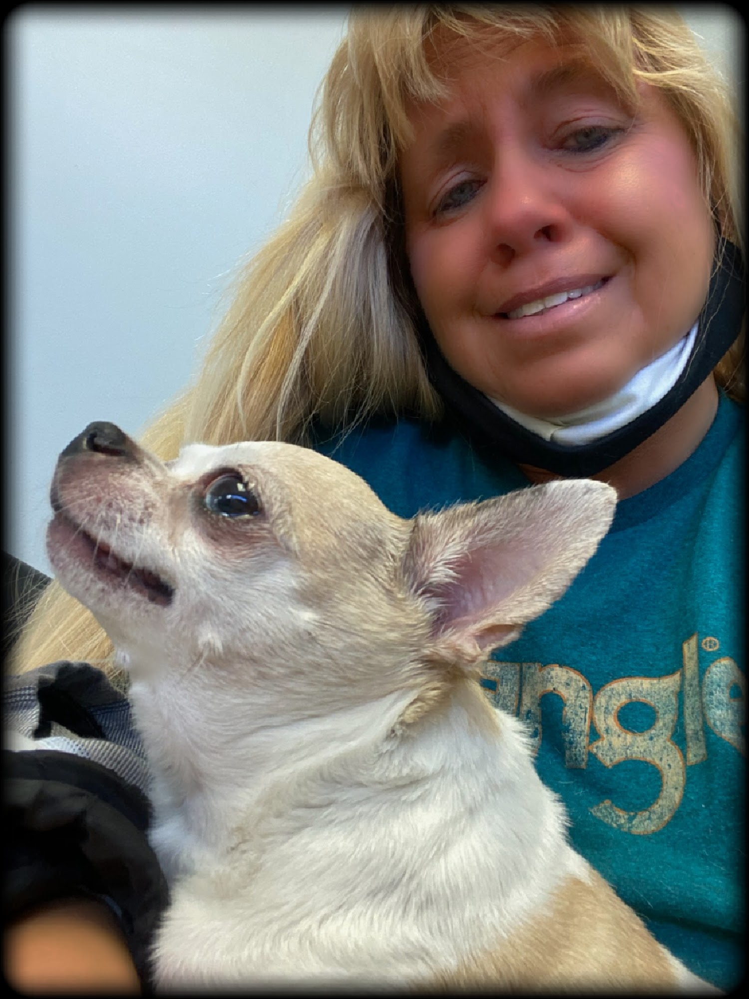 Westgate Animal Clinic Omaha