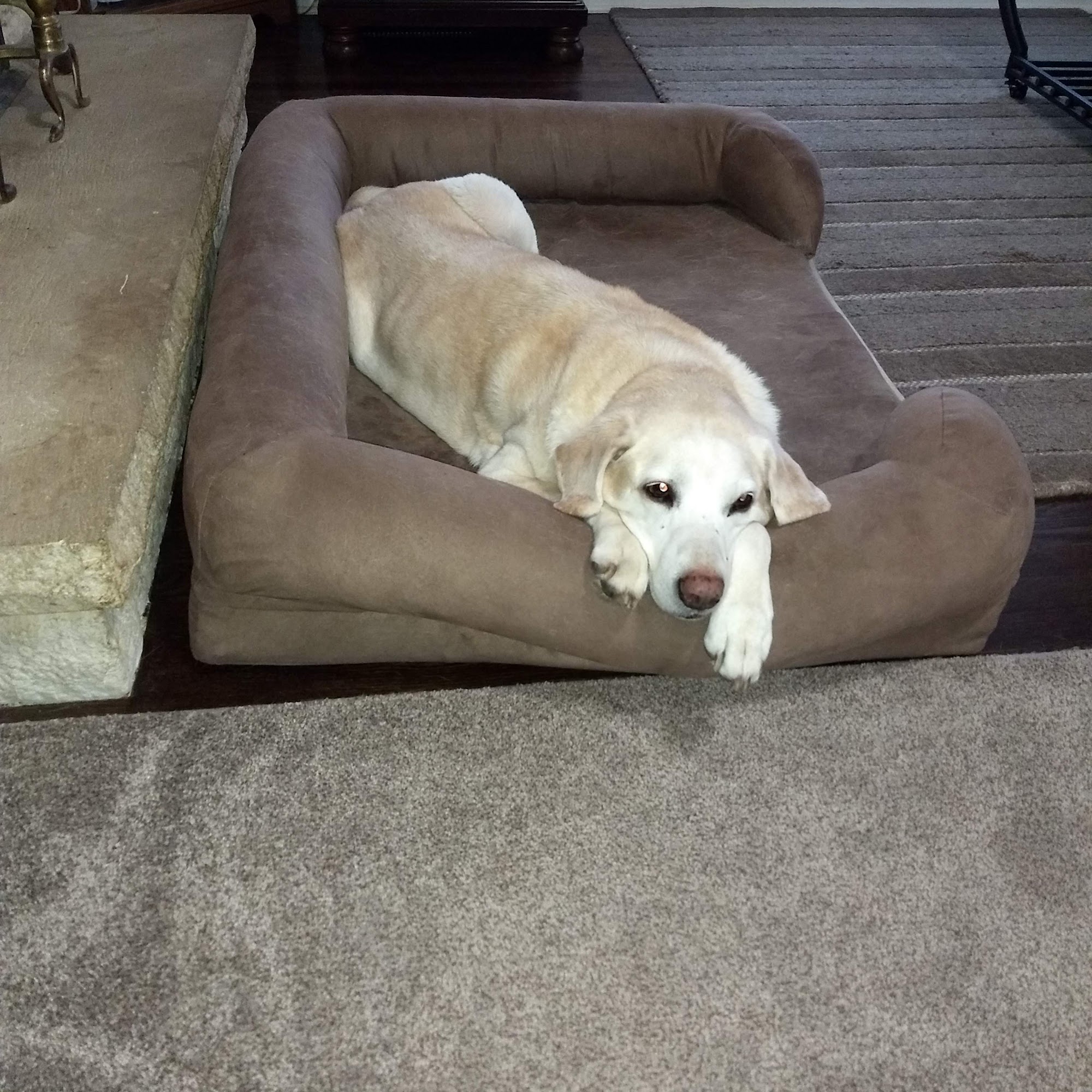 Loveland Animal Hospital Omaha