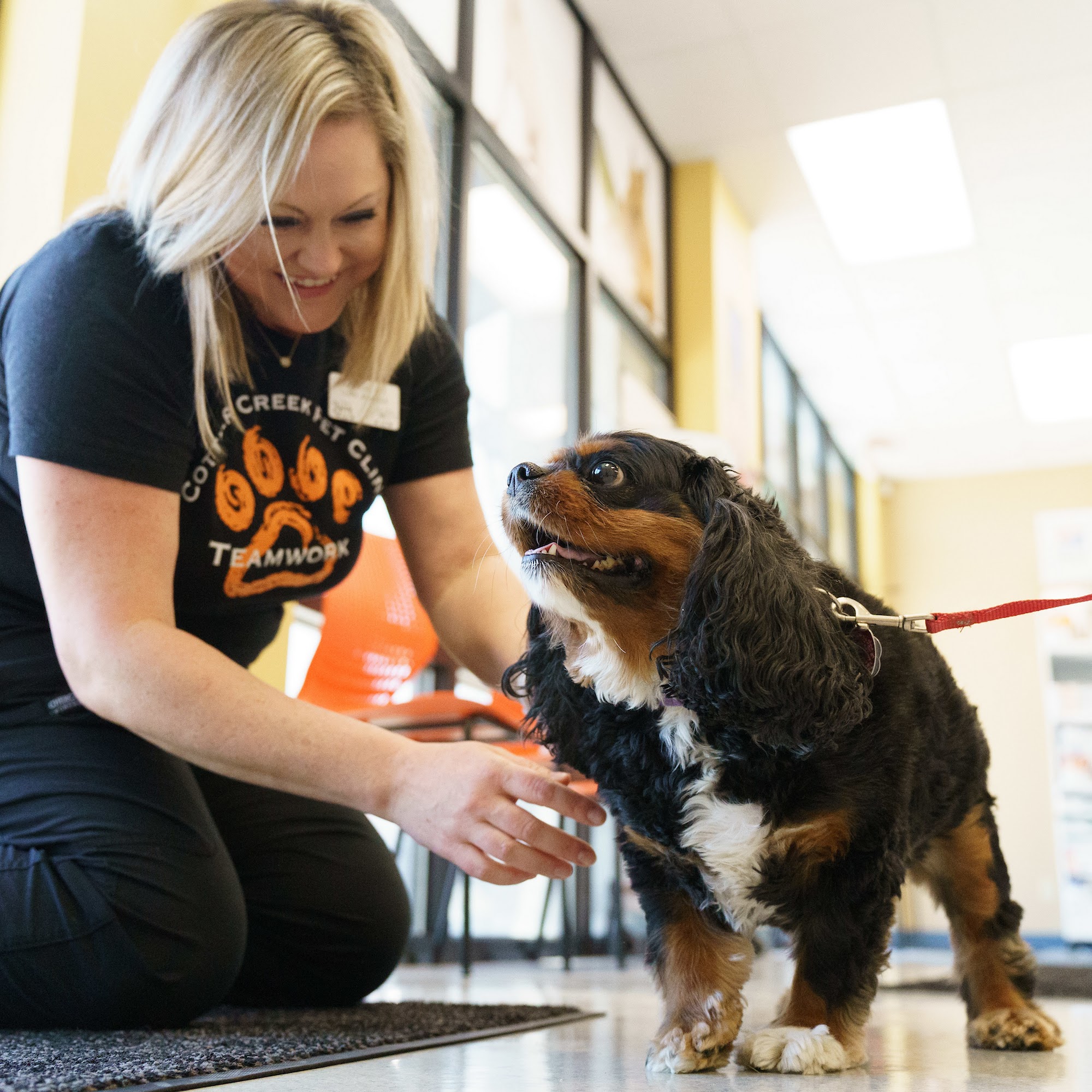 Cottner Creek Pet Clinic Omaha