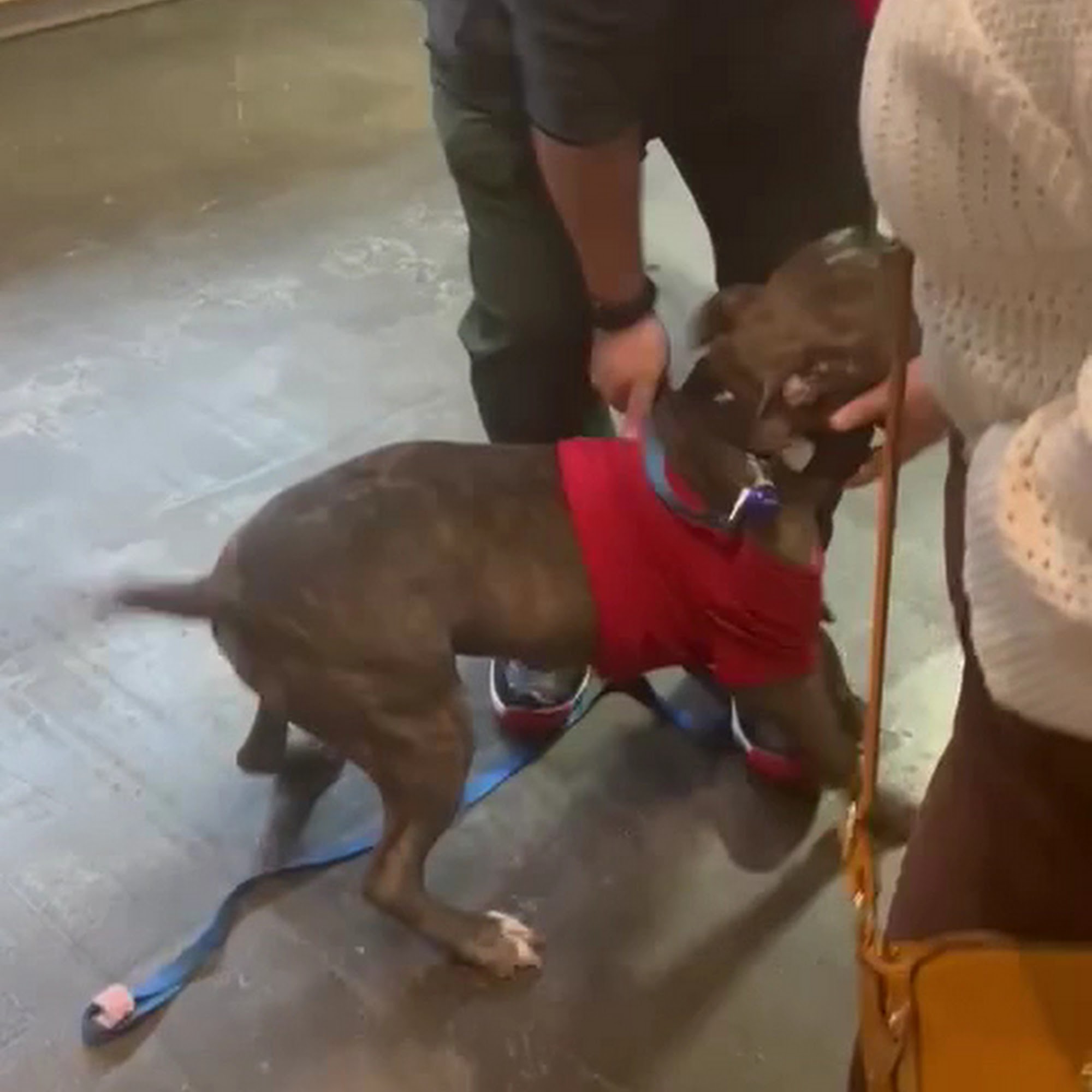 Downtown Hound Omaha