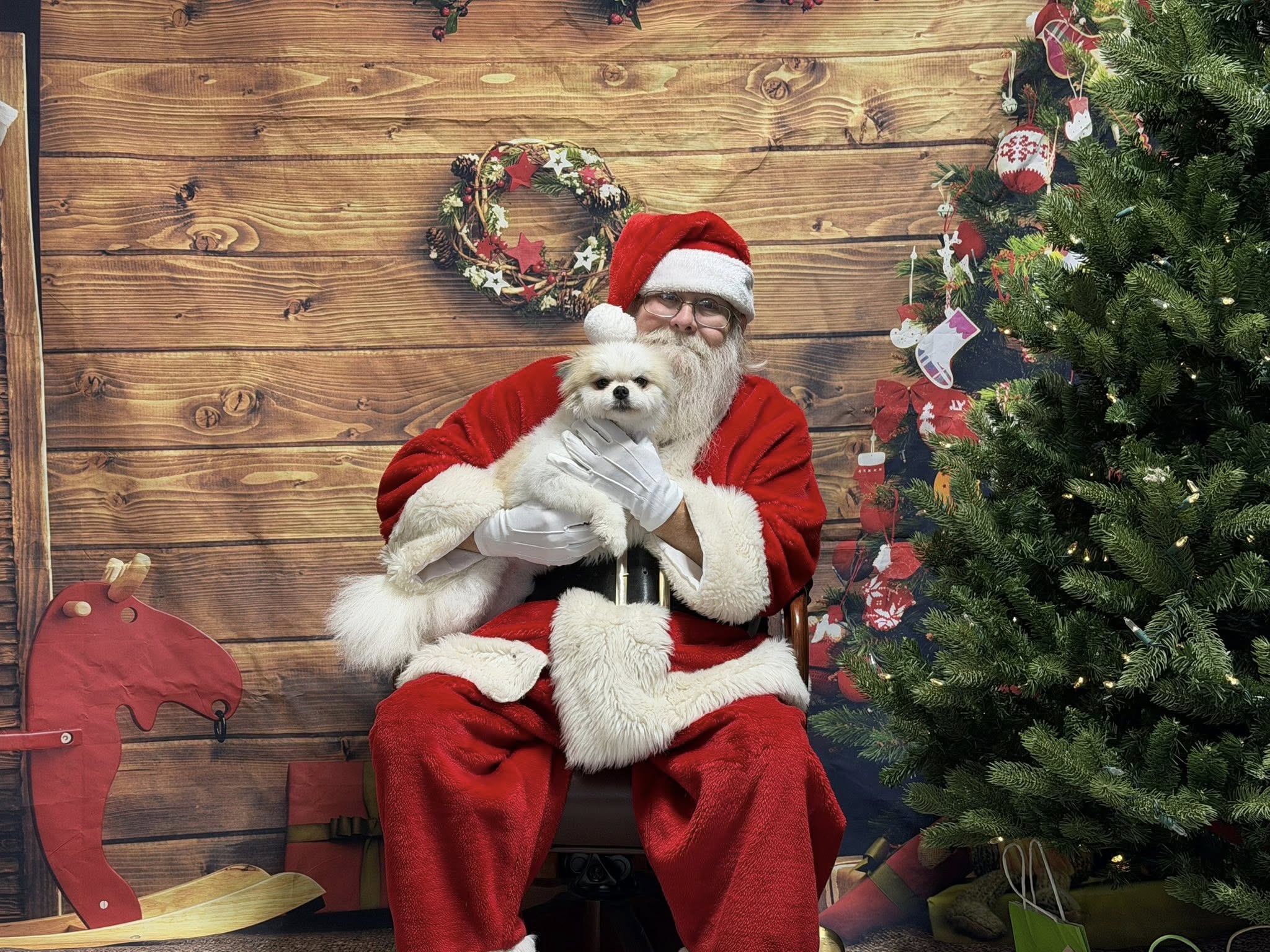 Paw Paradise Spa and Boarding Omaha