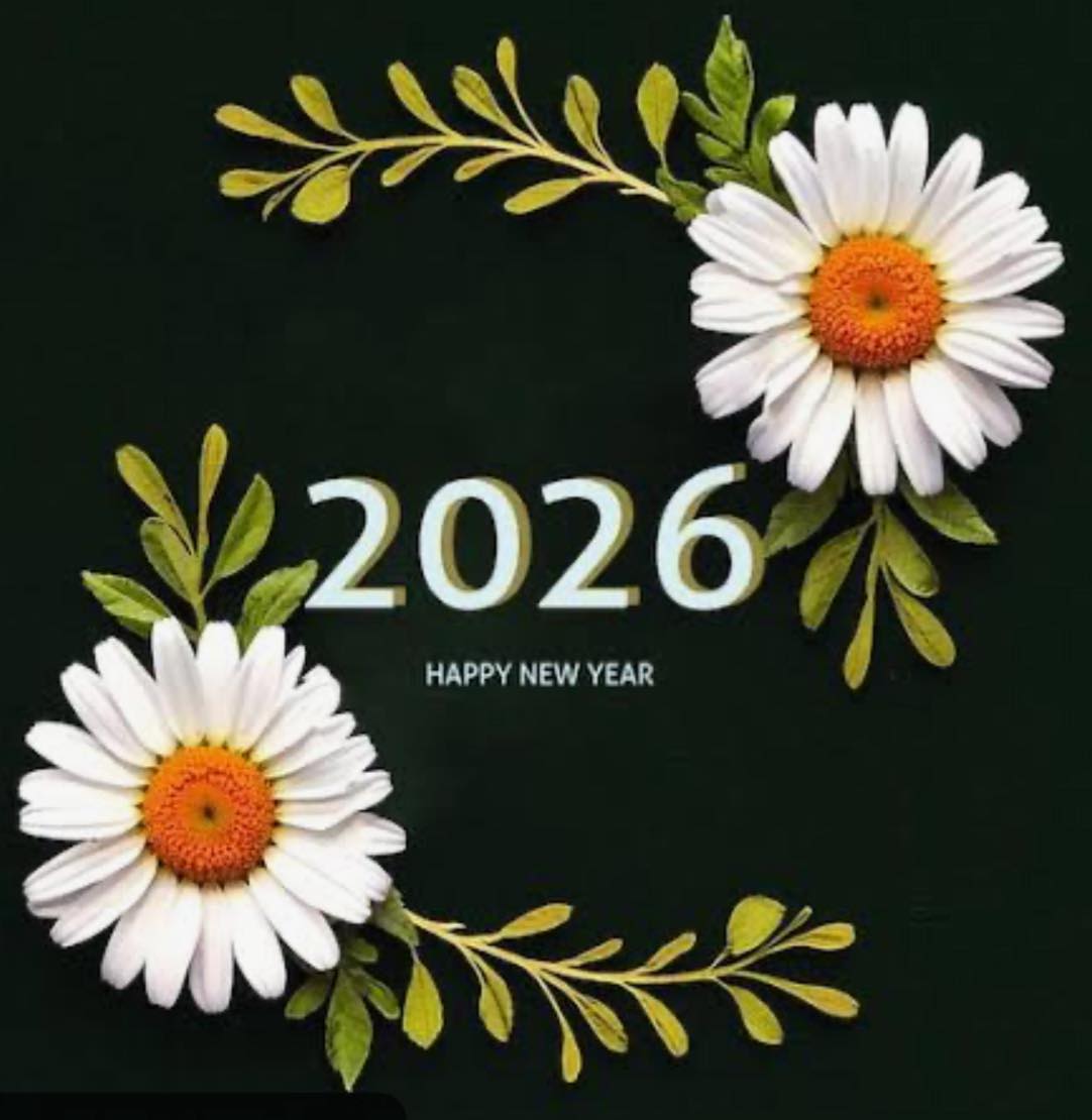 Daisy Fresh Cleaning 7070 Capitol Ct, Omaha Nebraska 68132