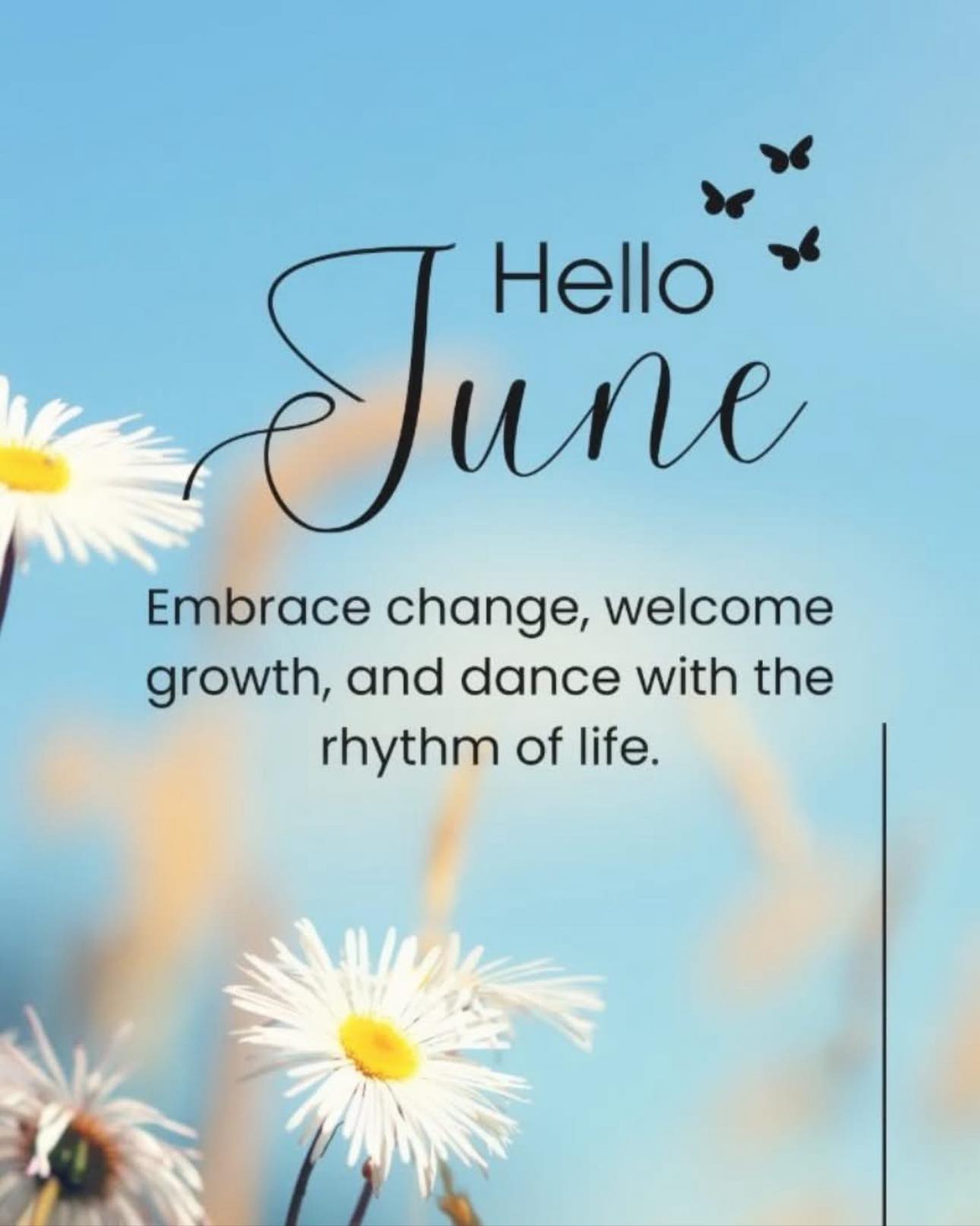 Daisy Fresh Cleaning