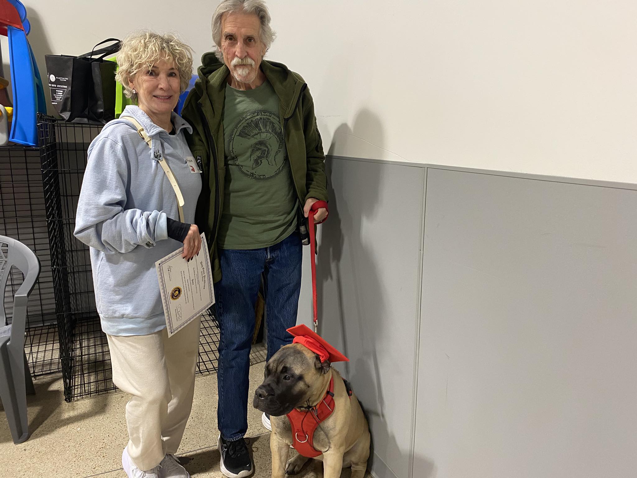 Dog Gone Problems Omaha