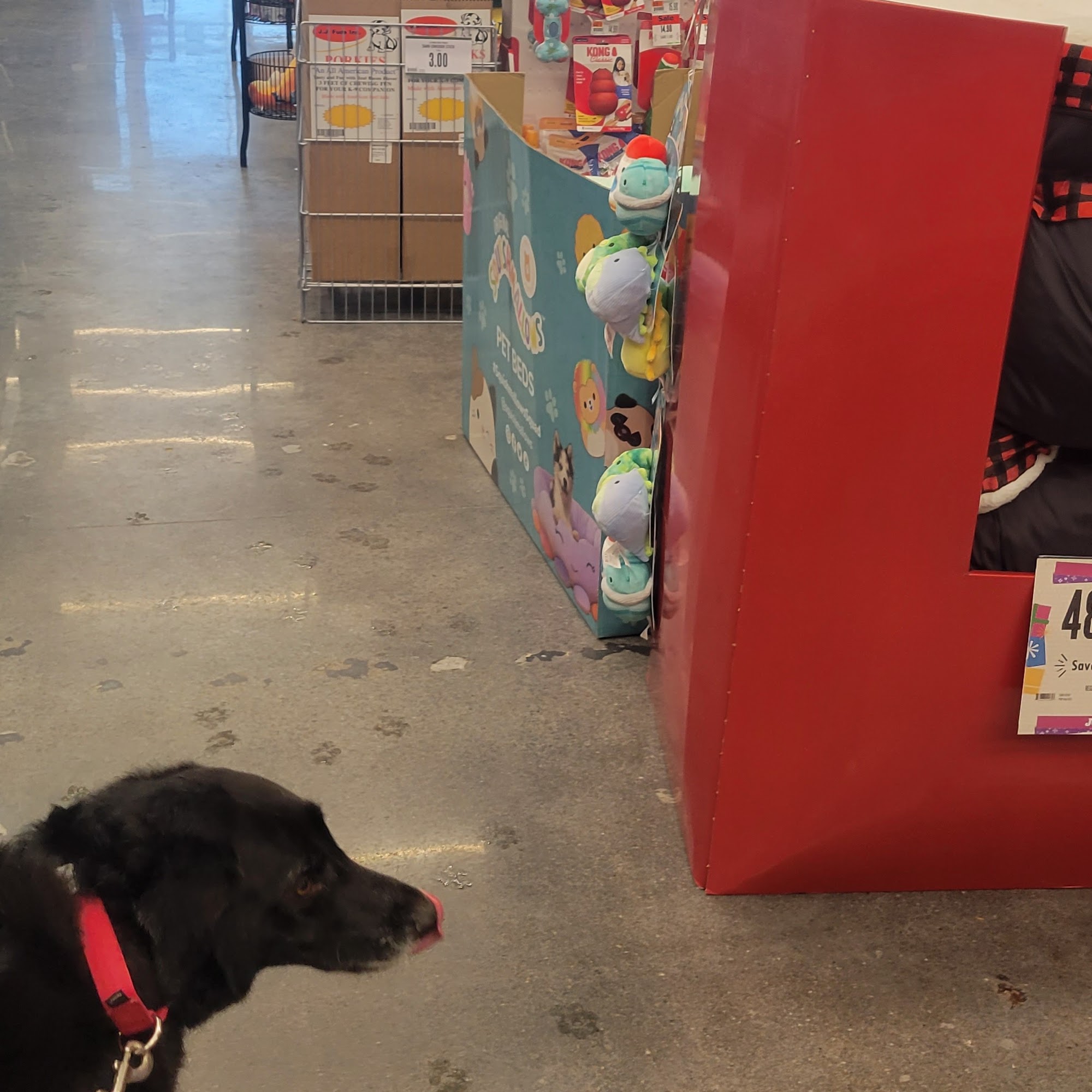 Pet Supplies Plus Omaha - W. Center Rd. Omaha