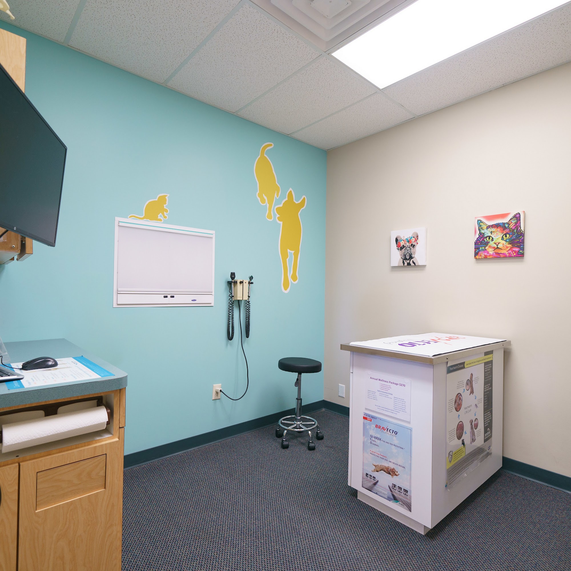 The Ridge Veterinary Clinic Omaha