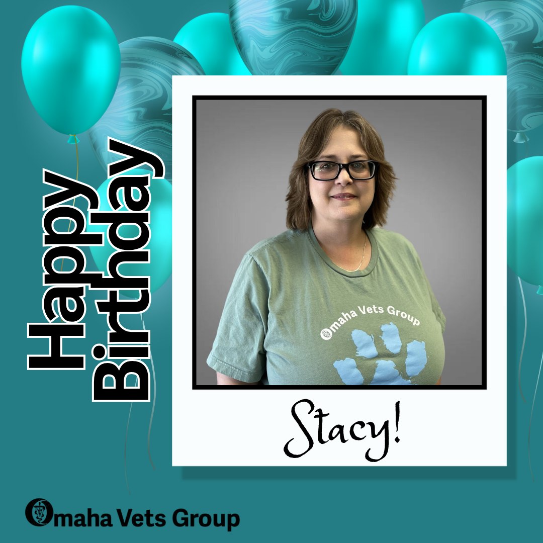 The Ridge Veterinary Clinic Omaha