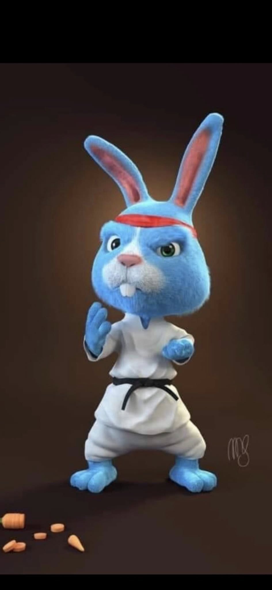 Family Tae Kwon DO & Judo