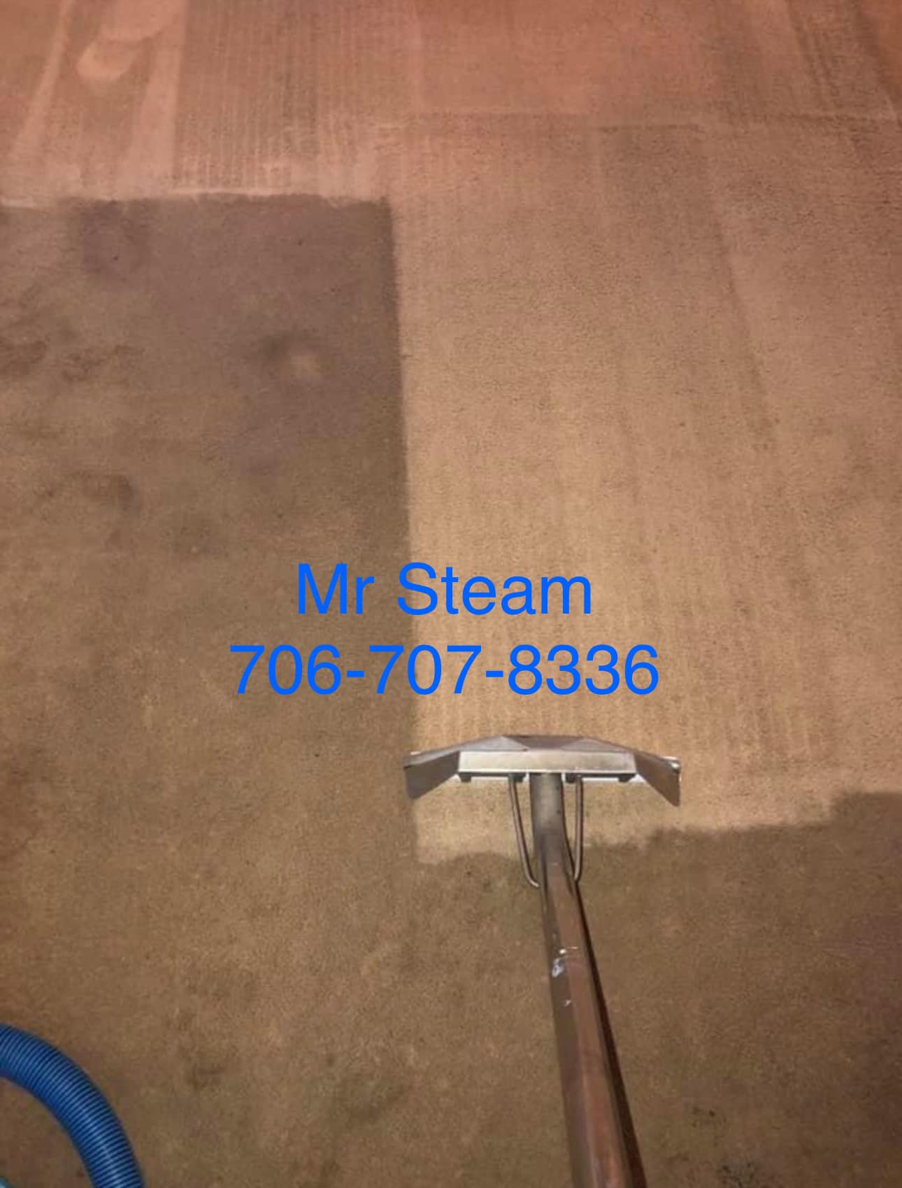 Mr Steam Carpet Cleaning