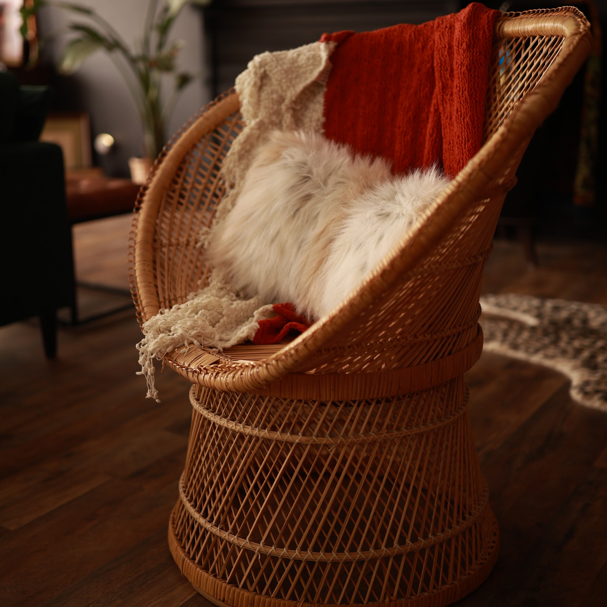 Goldie's Pop-Up Shop Omaha