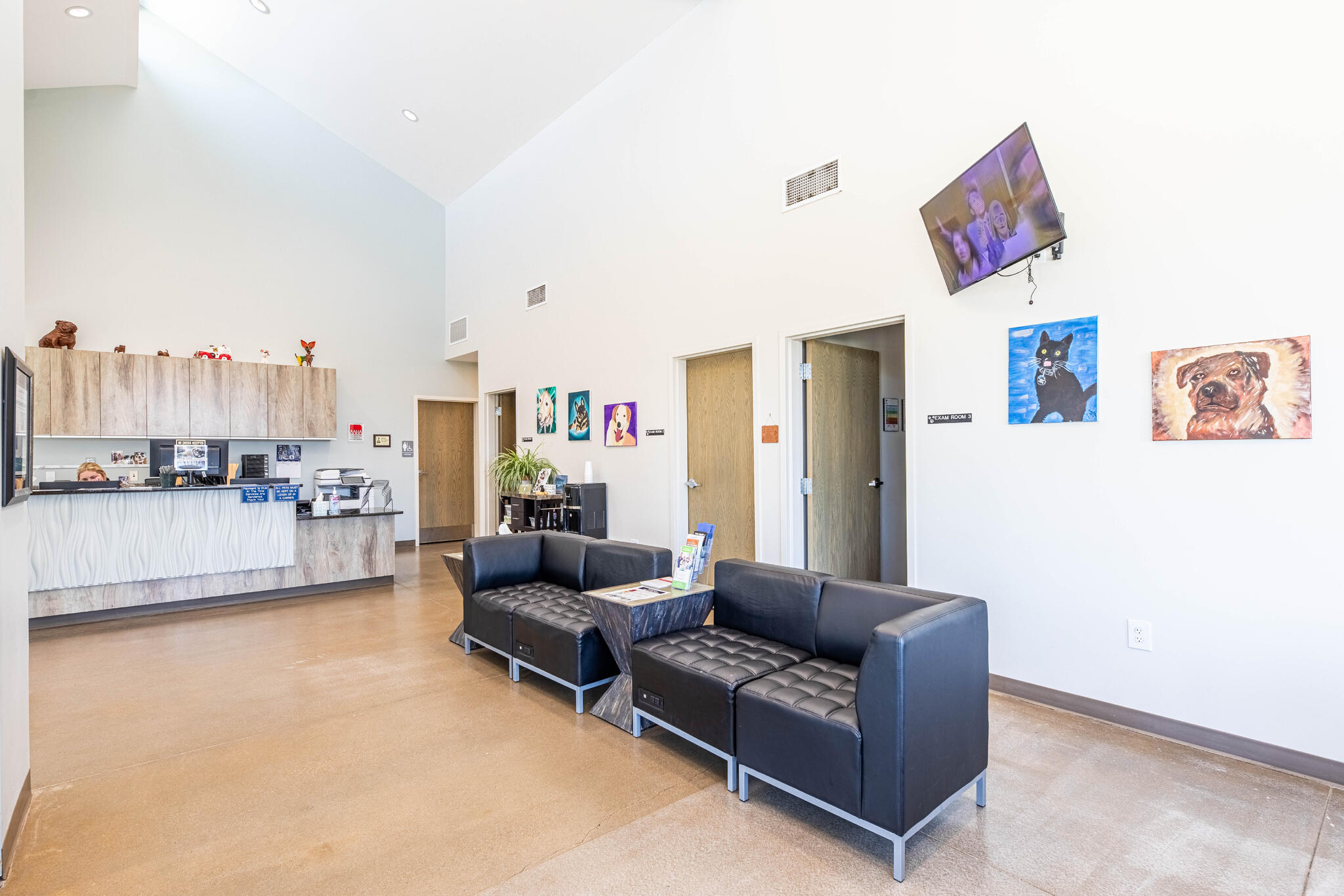 Urgent Pet Care Of Papillion Papillion