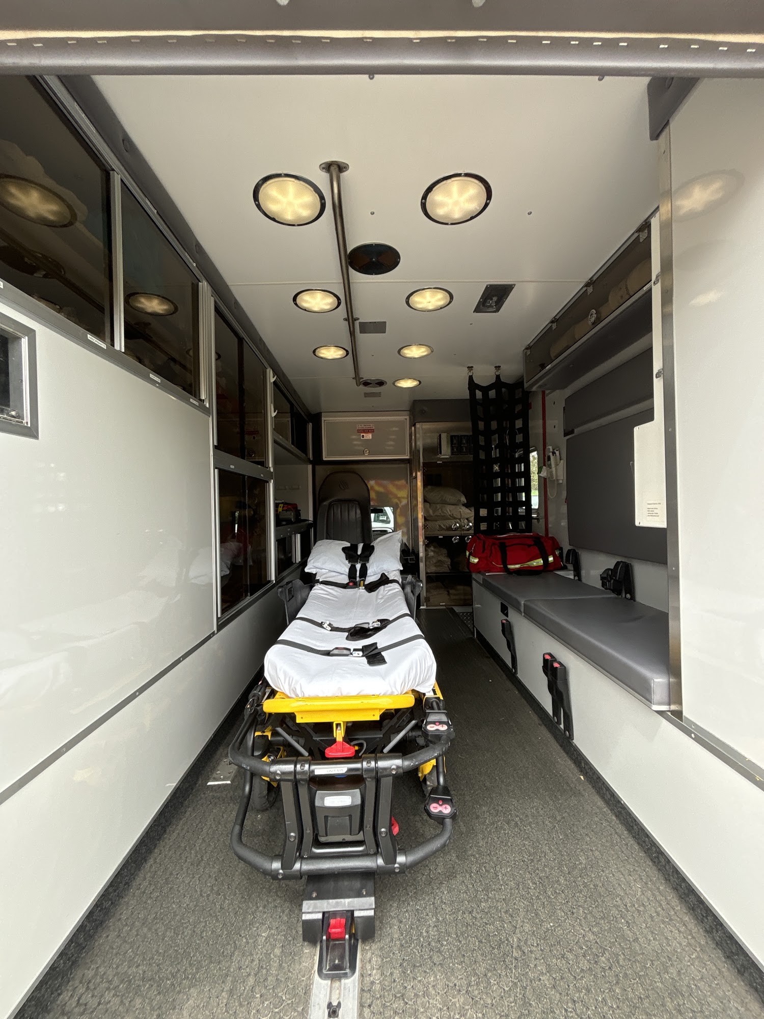 Papio Transport Services