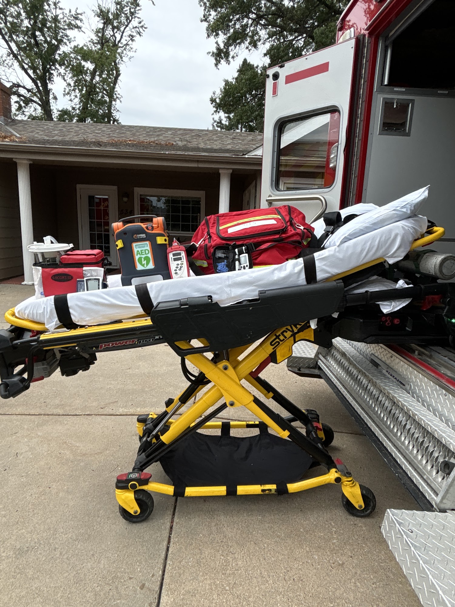 Papio Transport Services