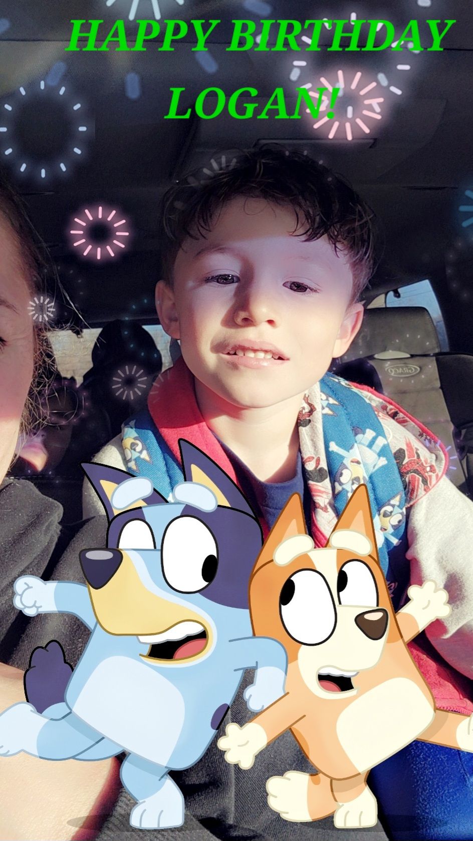 Ashley's Pet Spa Ralston