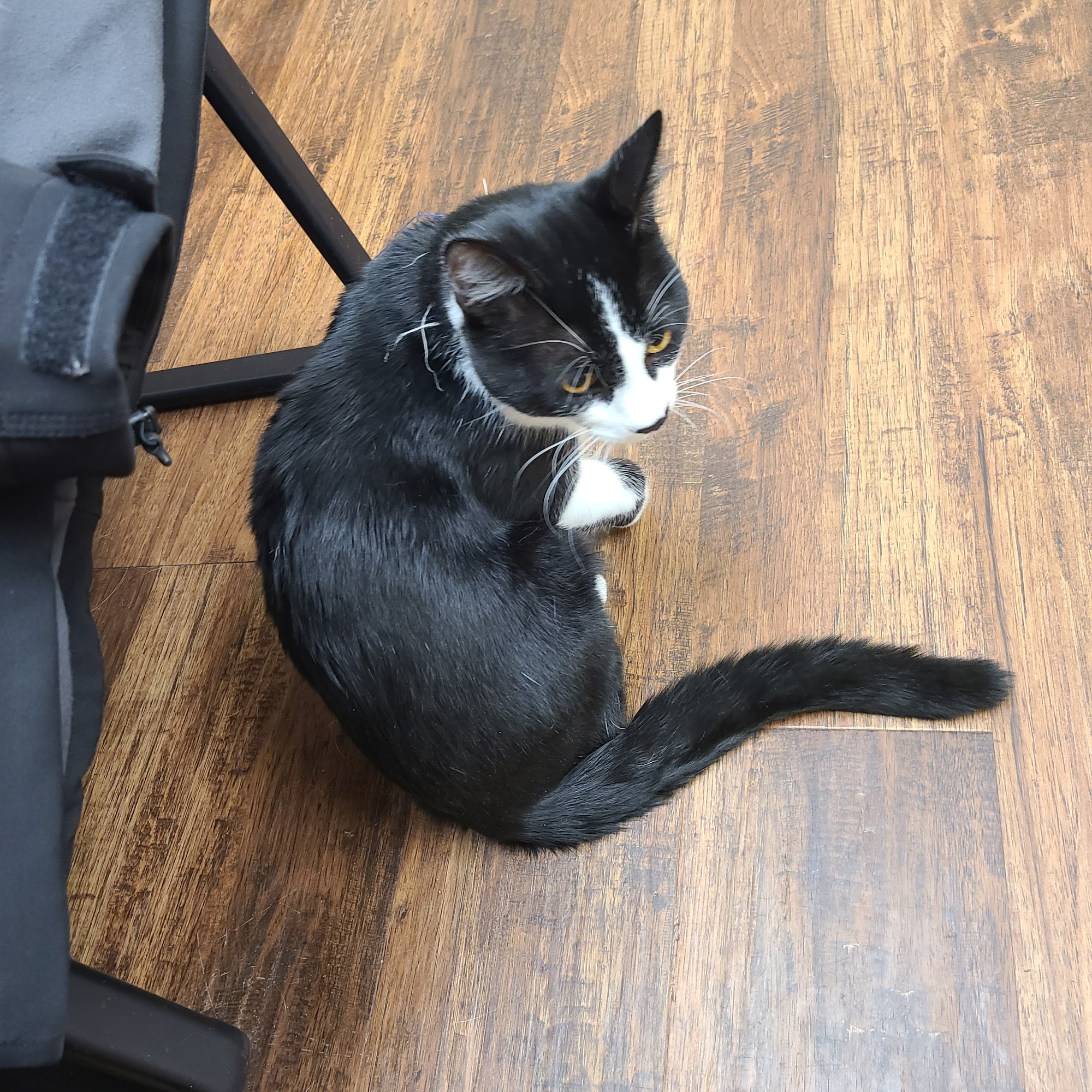 Pioneer Animal Clinic Scottsbluff