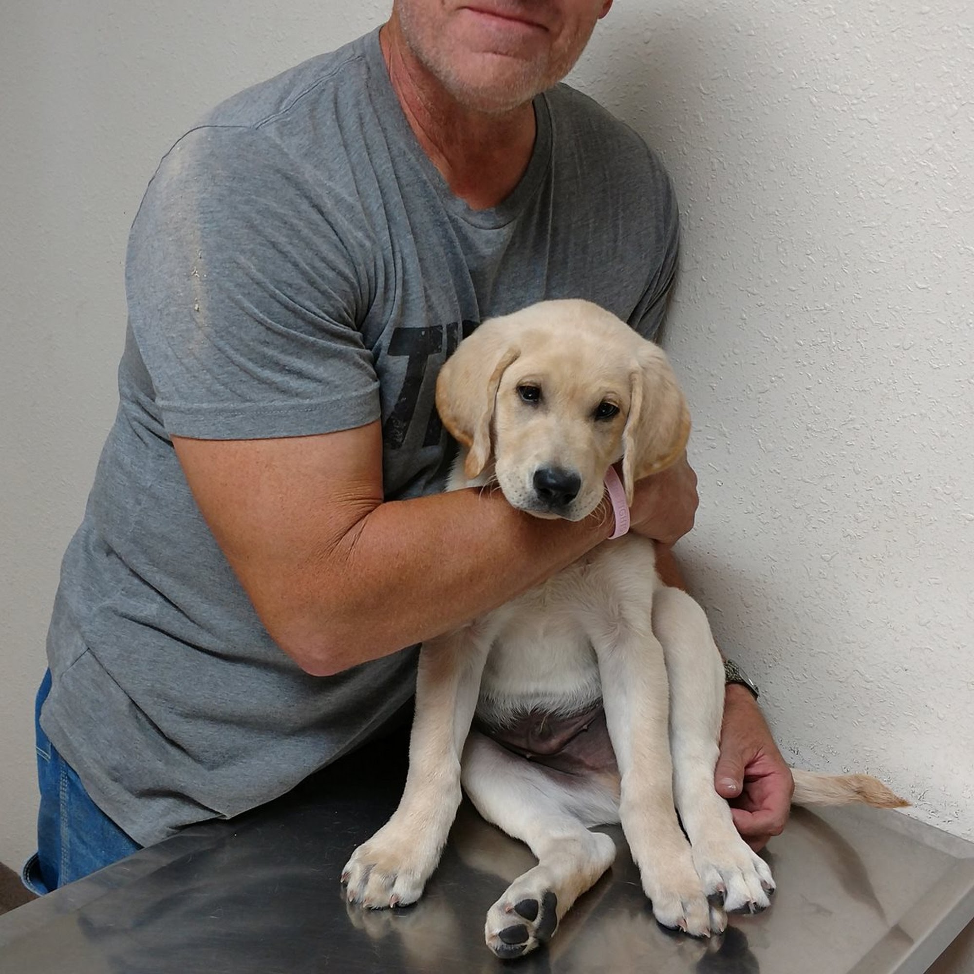 White Bluffs Veterinary Hospital Sidney