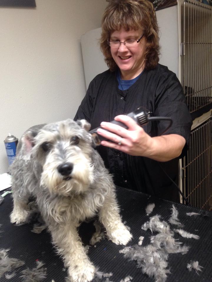 White Bluffs Veterinary Hospital Sidney