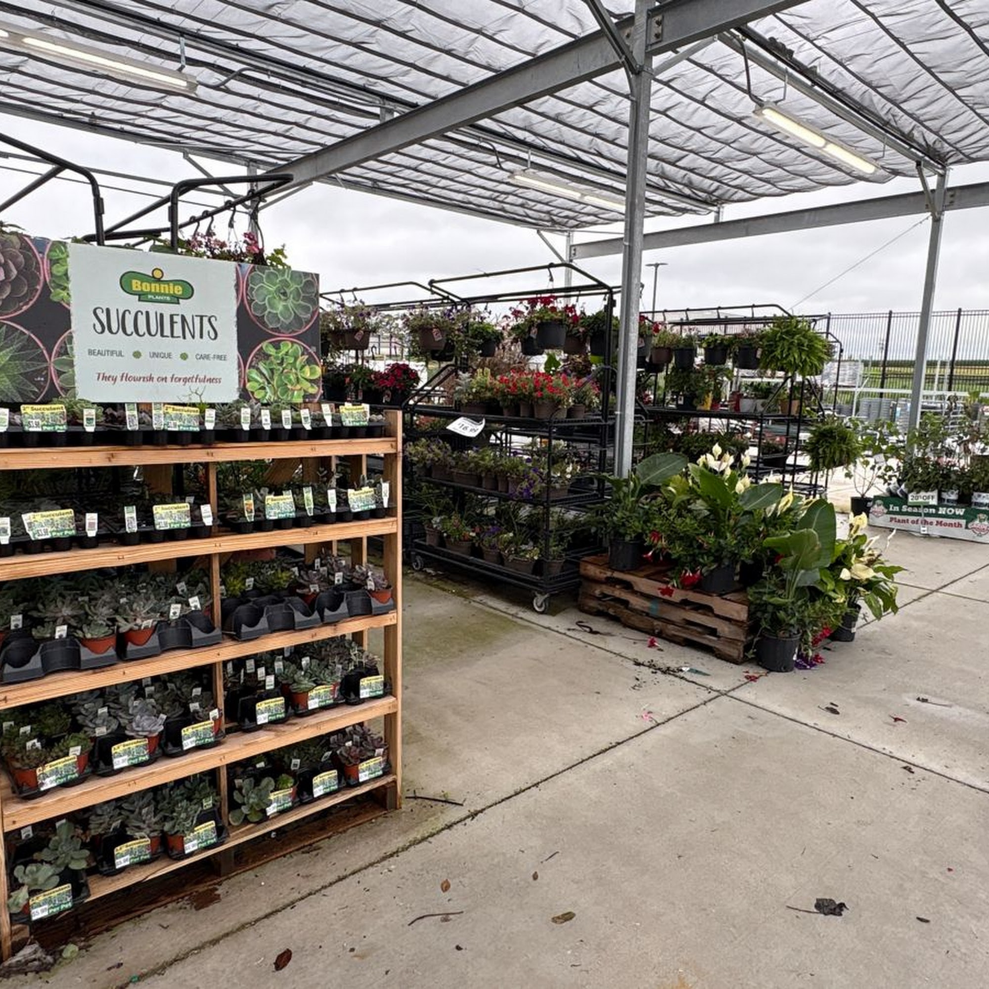 Tractor Supply Co. Springfield