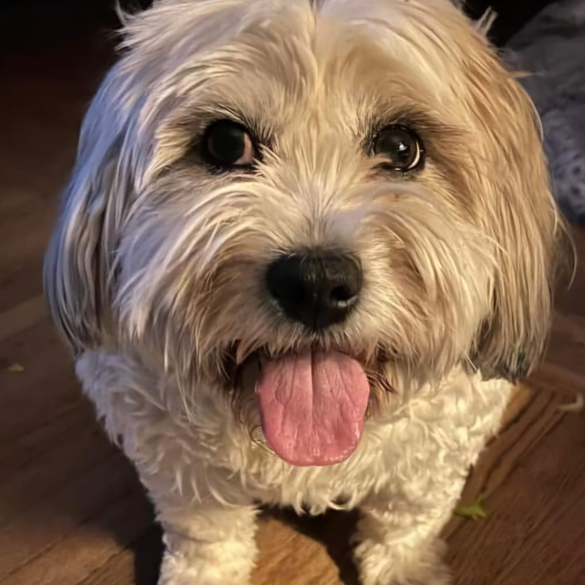 Heartland Veterinarian Clinic 200 US-275, Tilden Nebraska 68781