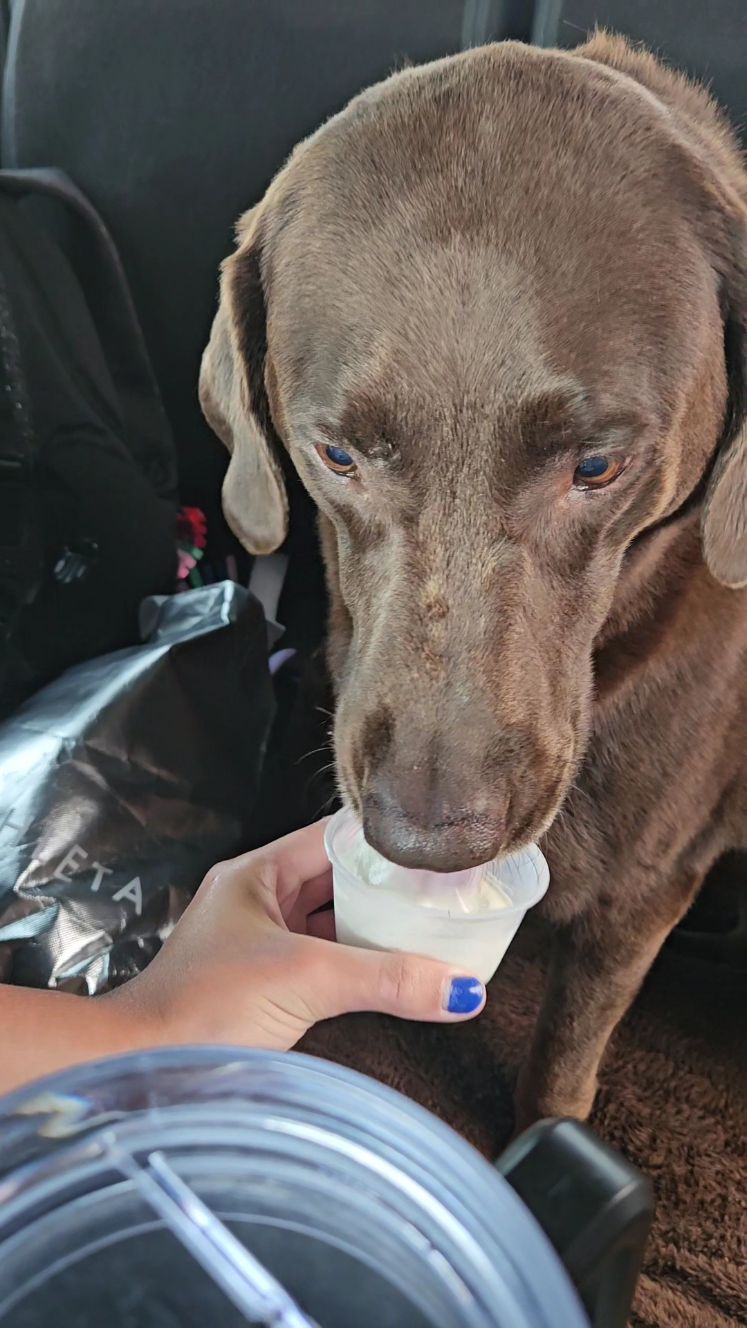 Runza Restaurant Menu