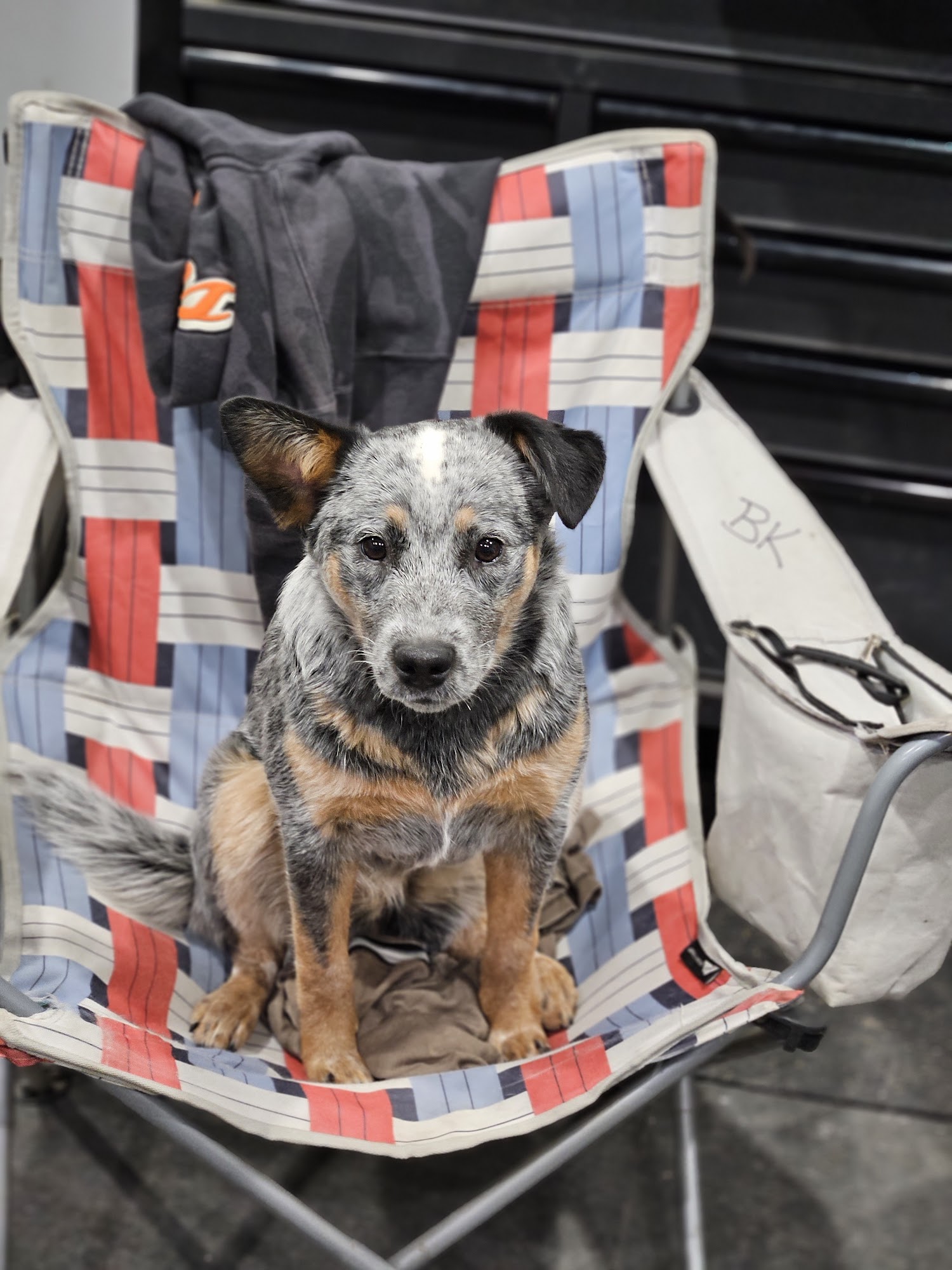 Wisner Countryside Vet Clinic Wisner